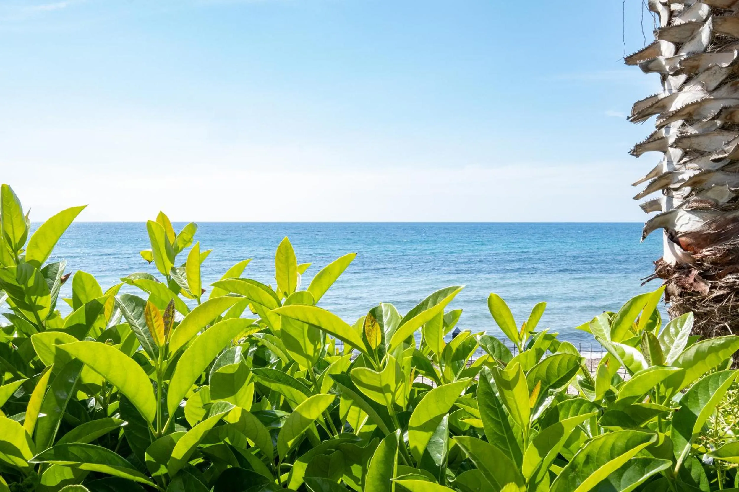 View (from property/room) in Sunday Beach Hotel