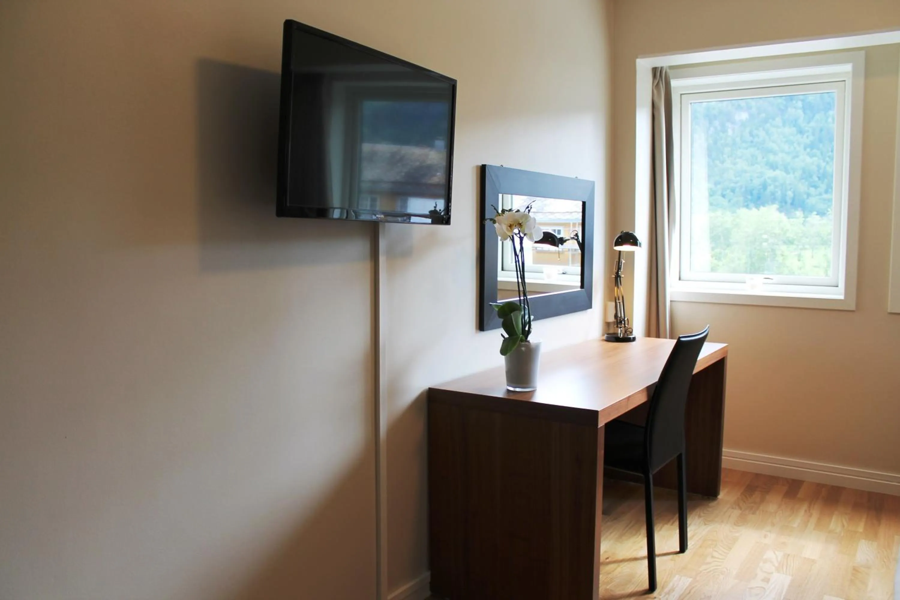 TV and multimedia in Støren Hotel