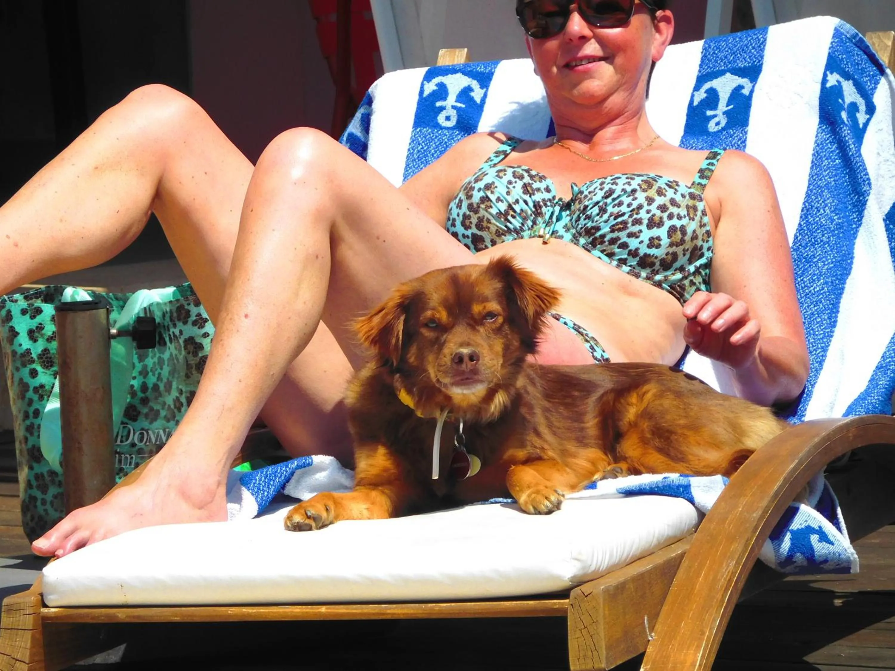 Pets in Aeolis Apartments & Studios