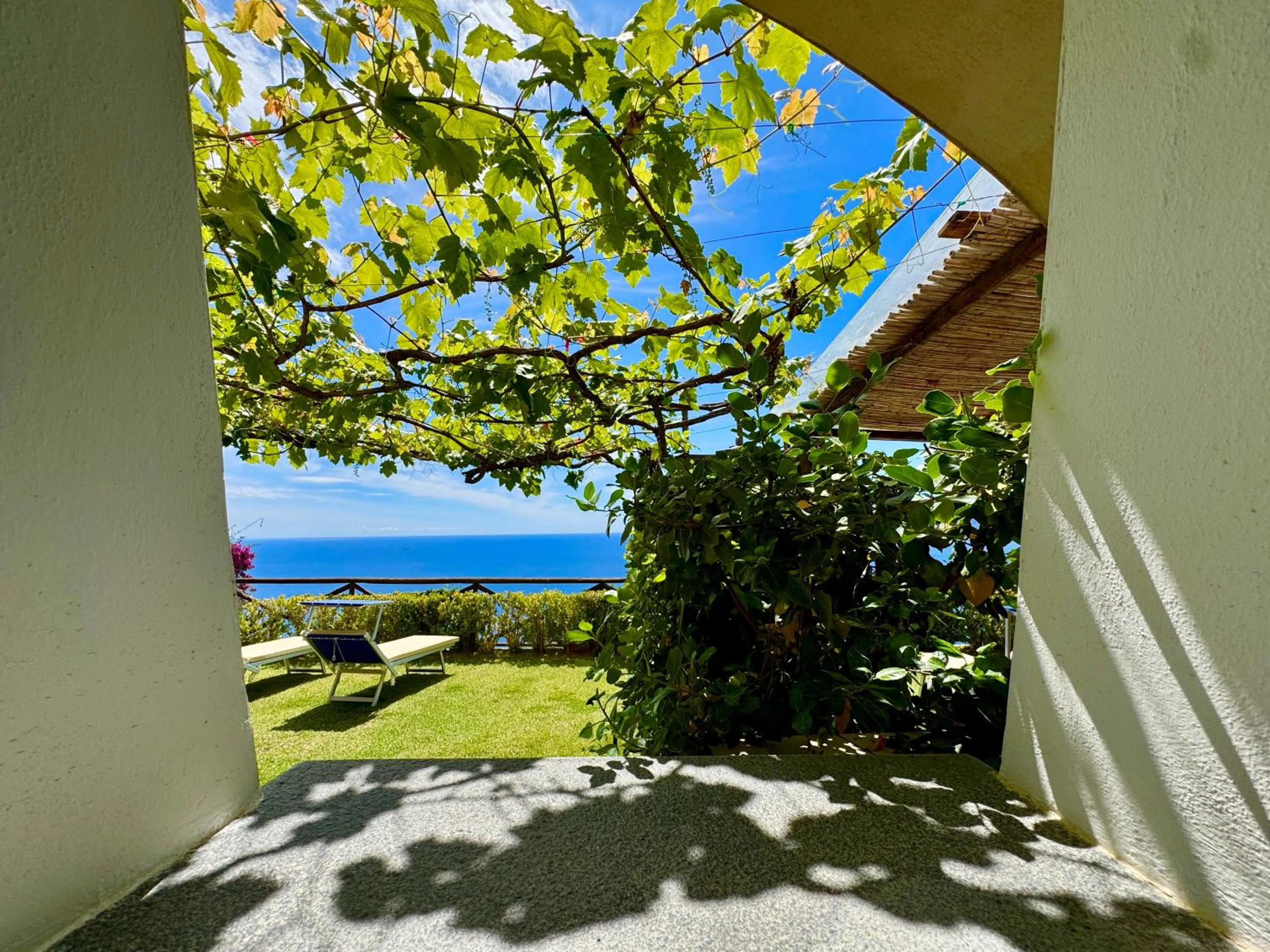 Garden view in Villa Il Frantoio and Lilmar