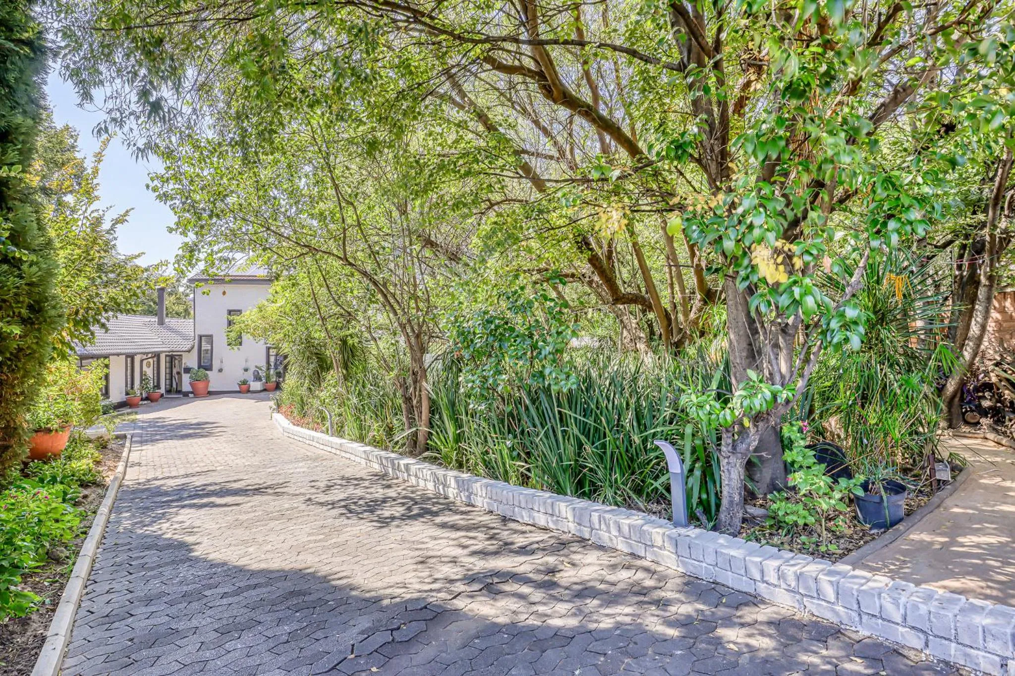 Garden view in The Bedford Manor