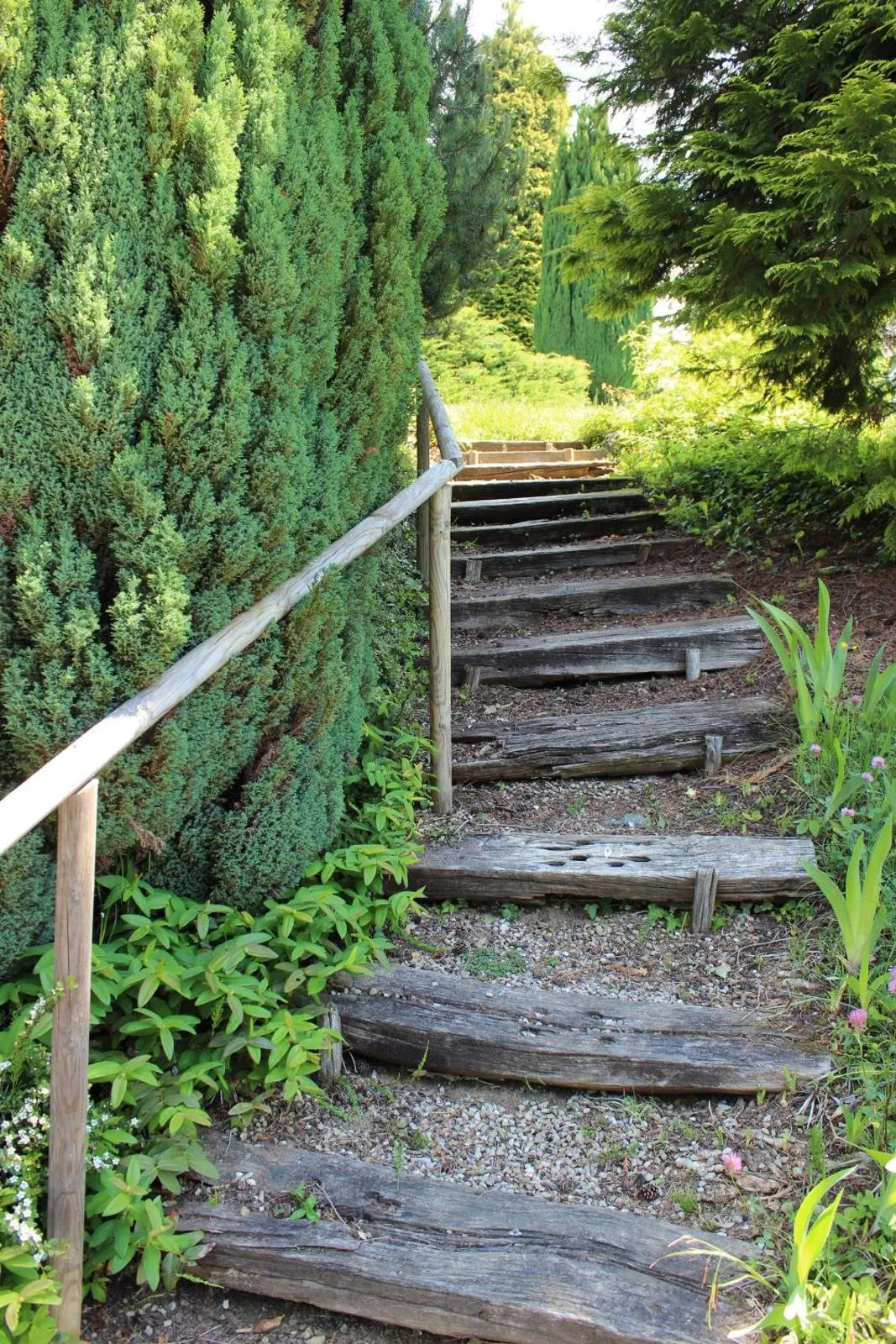 Garden in Centre Jean XXIII