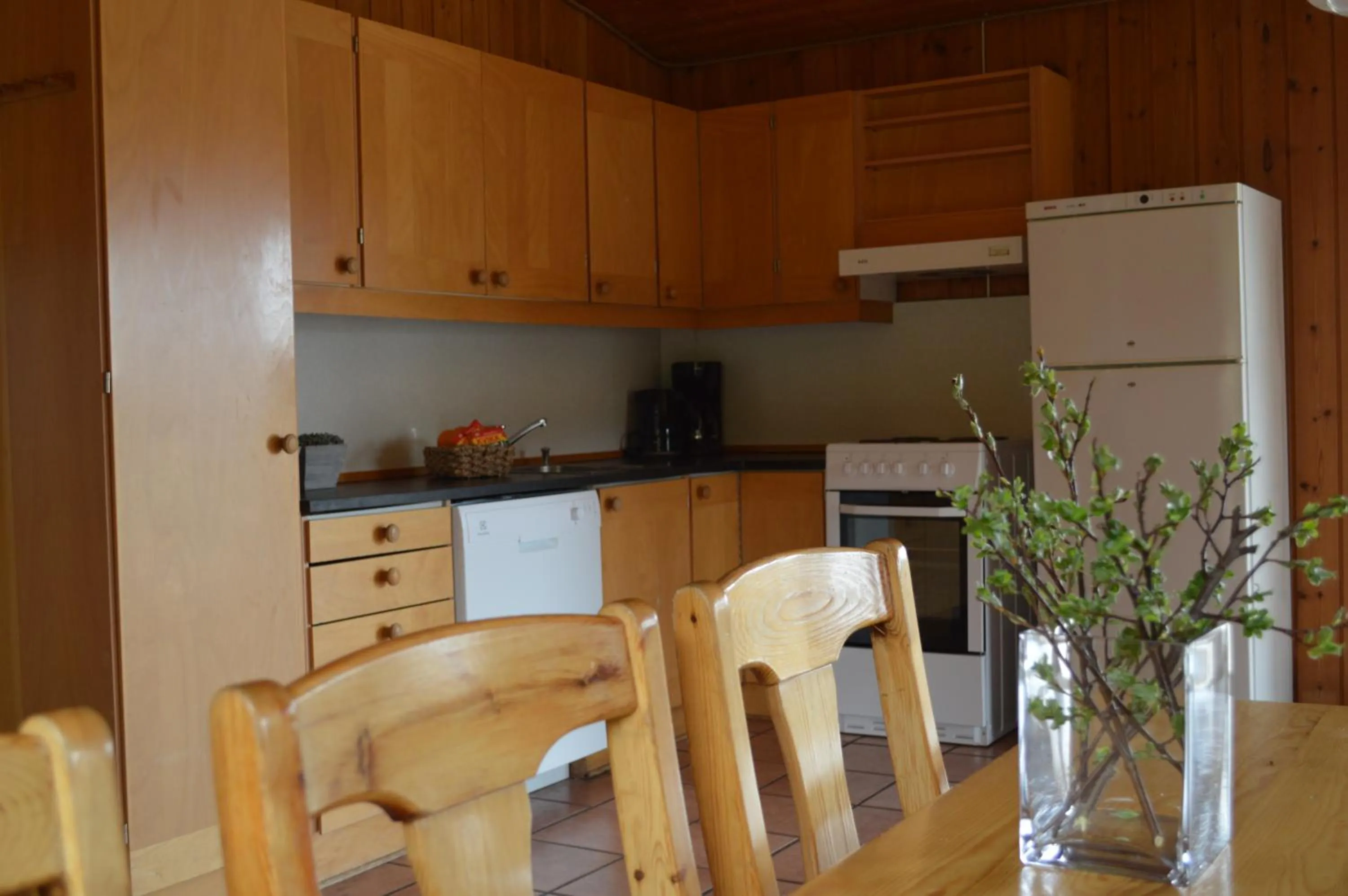 Kitchen or kitchenette in Nordseter Fjellpark, Hyttegrend