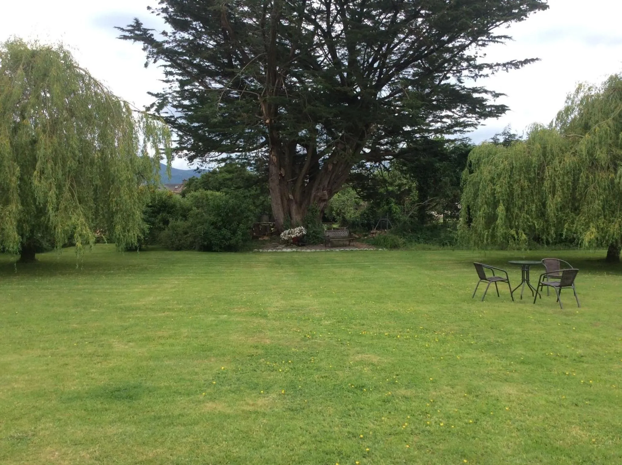 Garden in The Gardens B&B