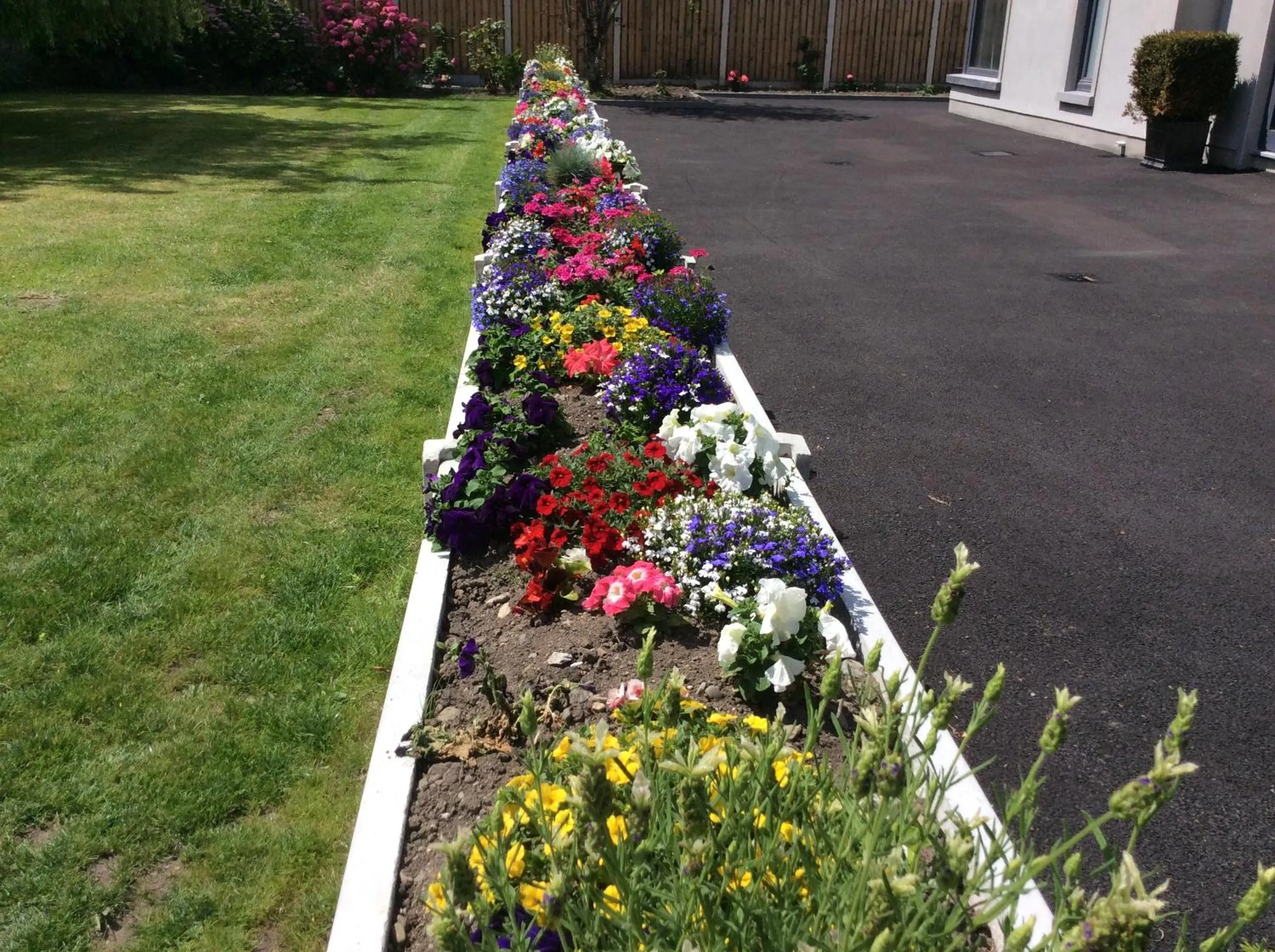Garden in The Gardens B&B