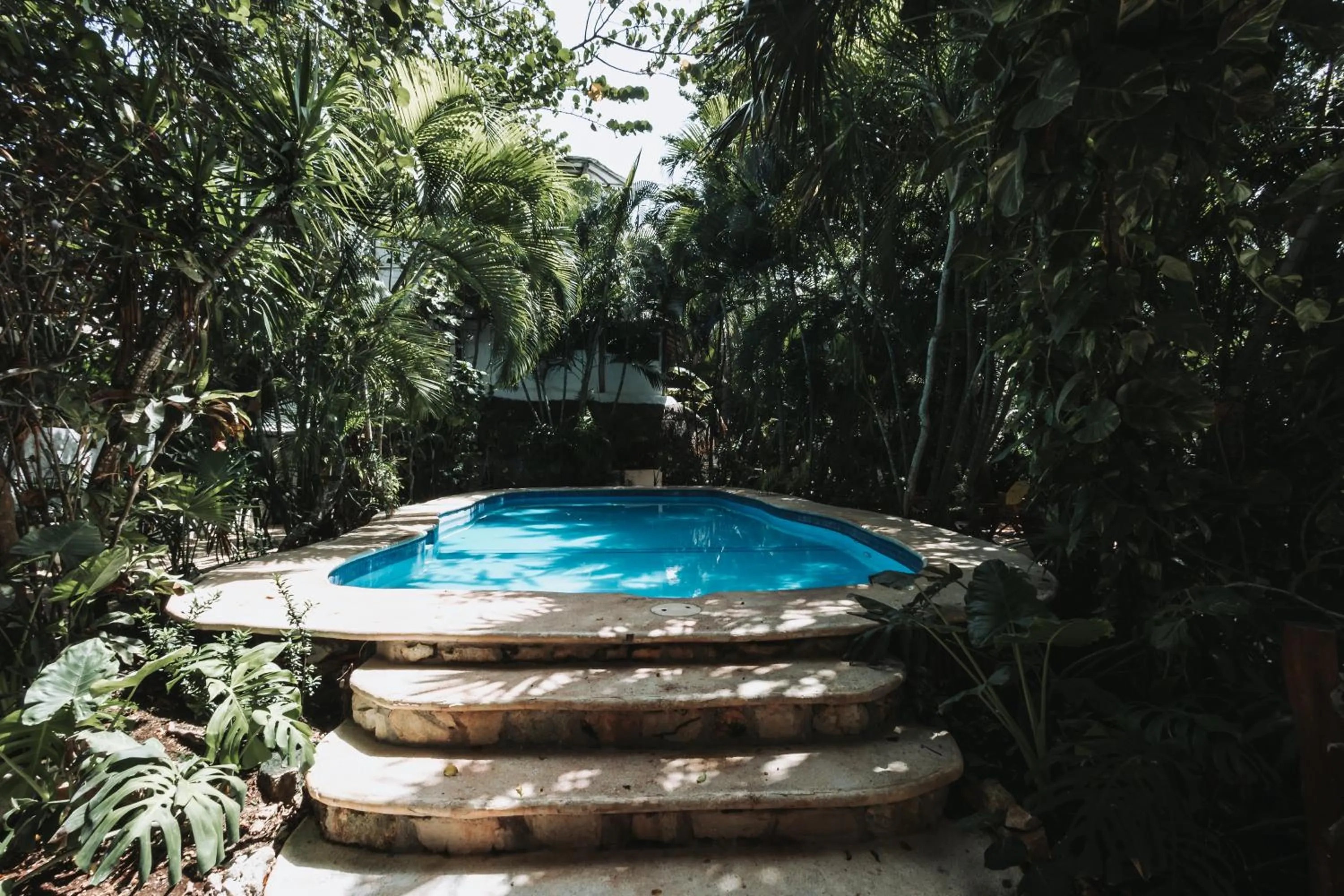 Swimming pool in Hotel Casa Barbara Holbox