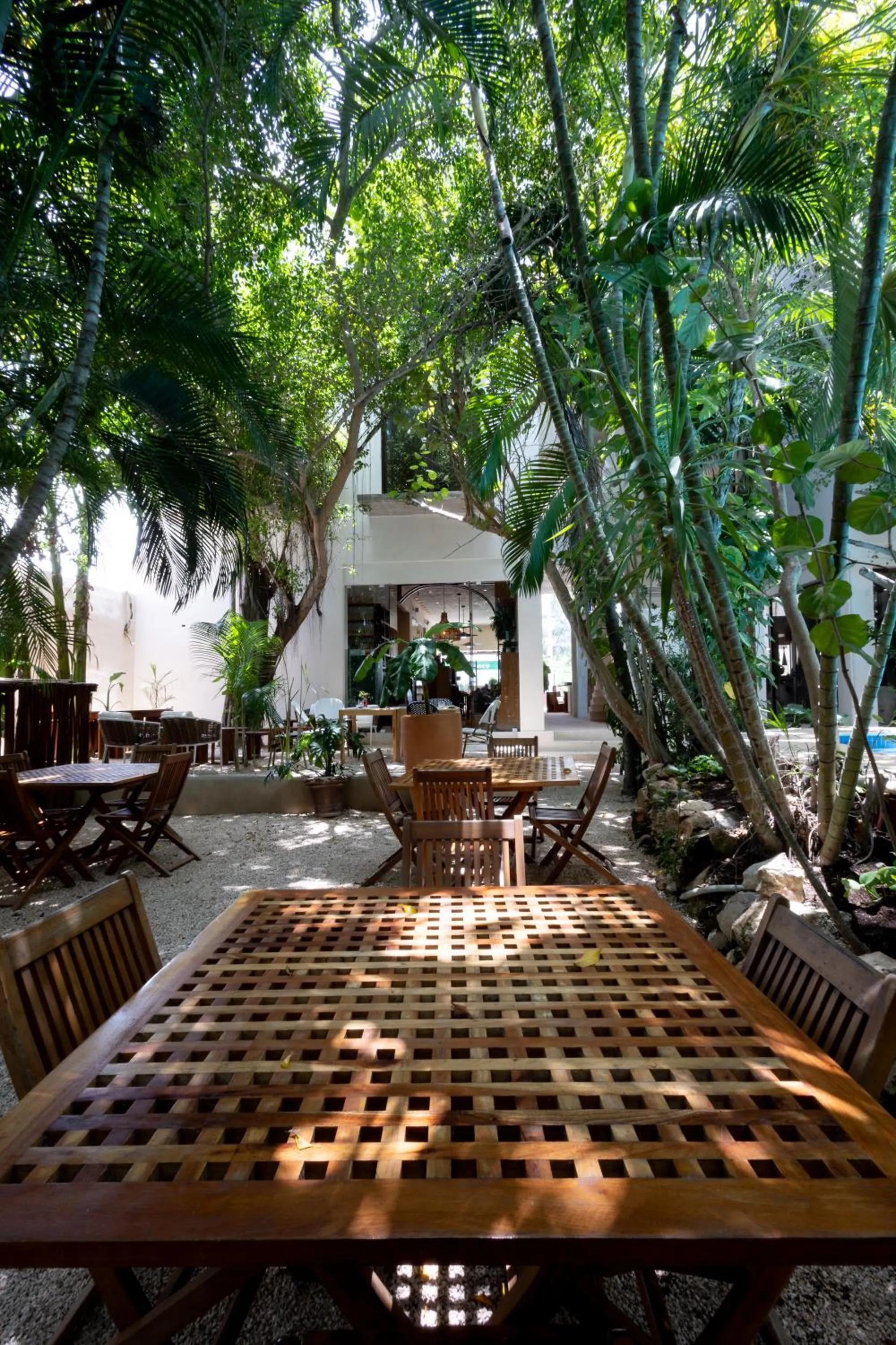 Garden in Hotel Casa Barbara Holbox