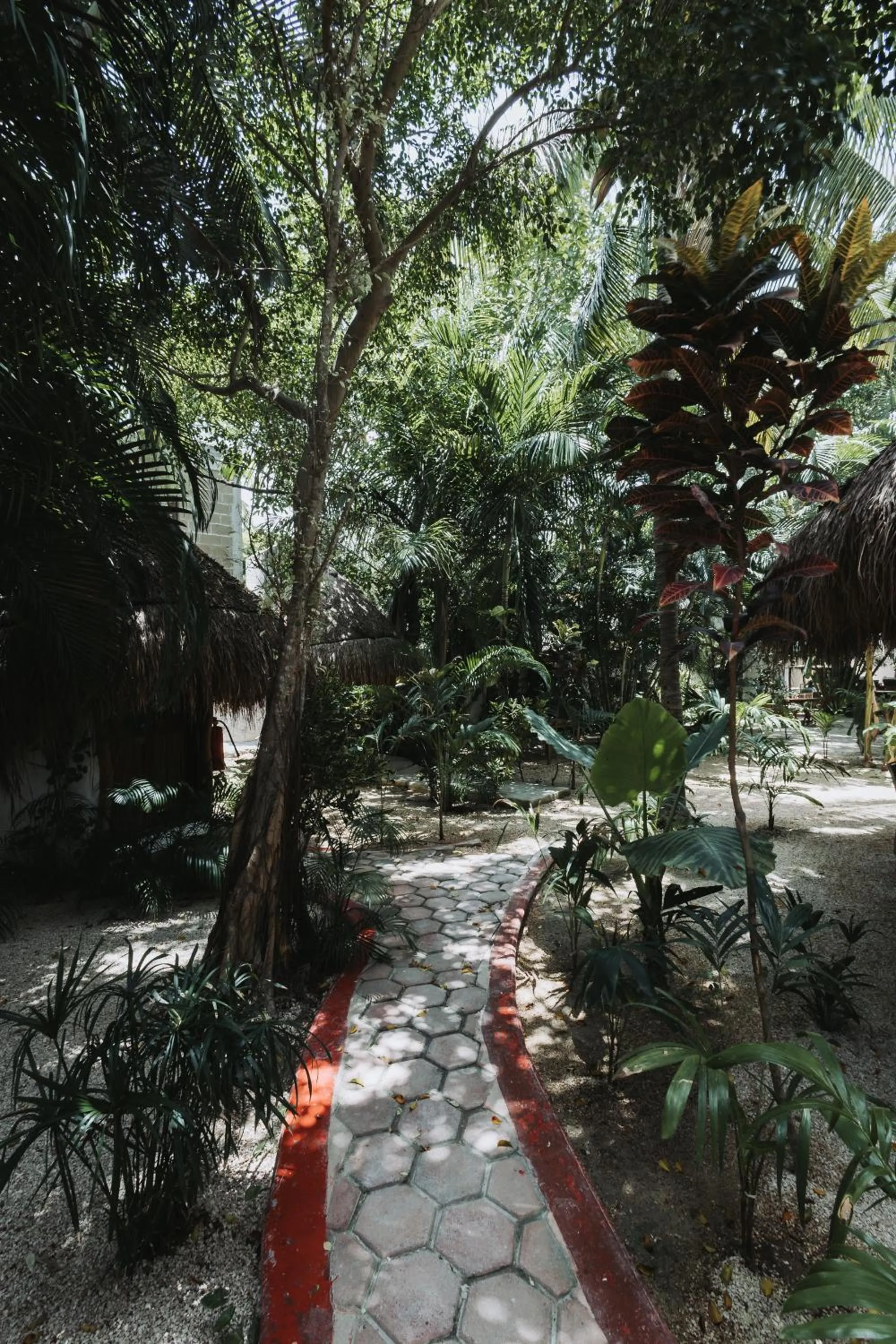 Garden in Hotel Casa Barbara Holbox