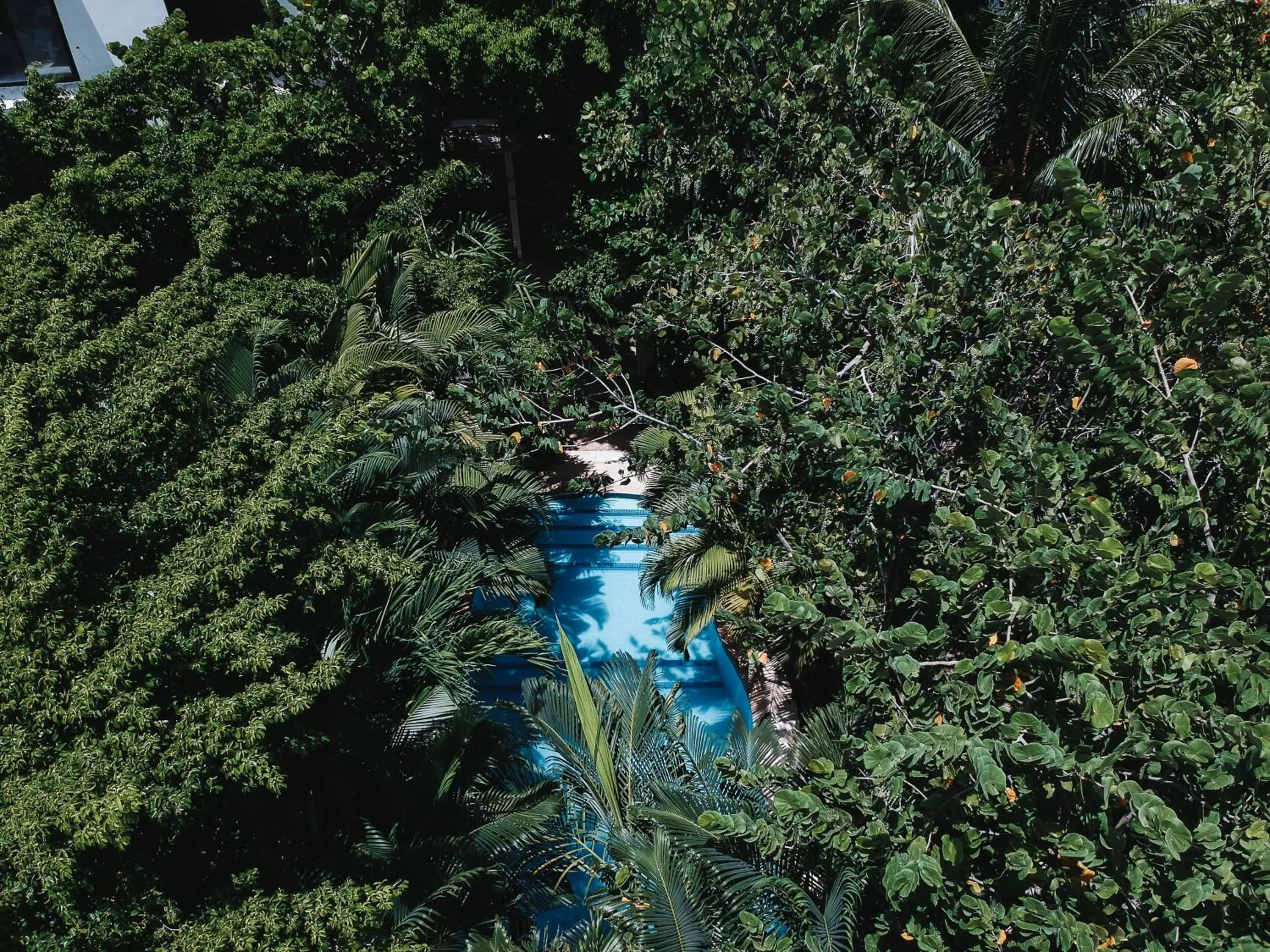 Swimming pool in Hotel Casa Barbara Holbox