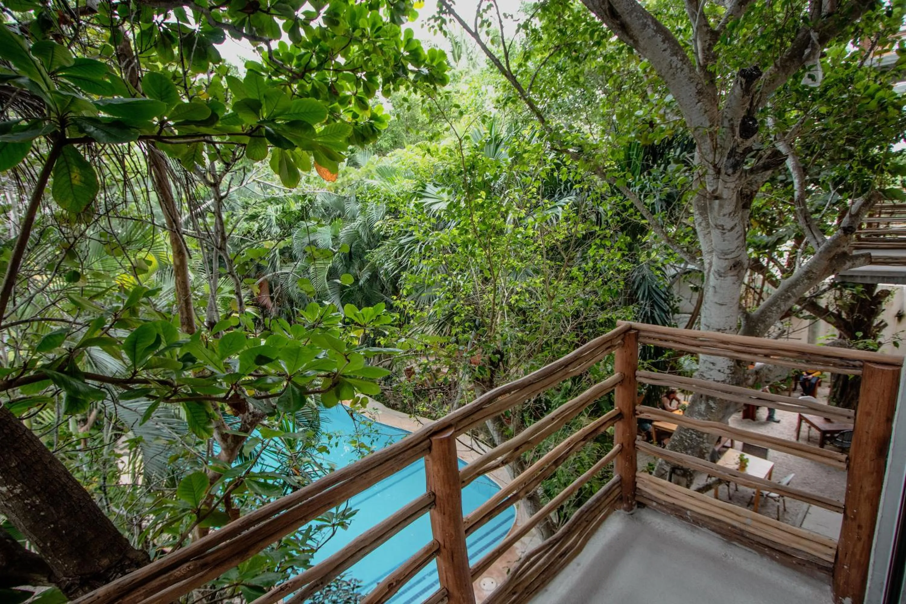 Pool view in Hotel Casa Barbara Holbox