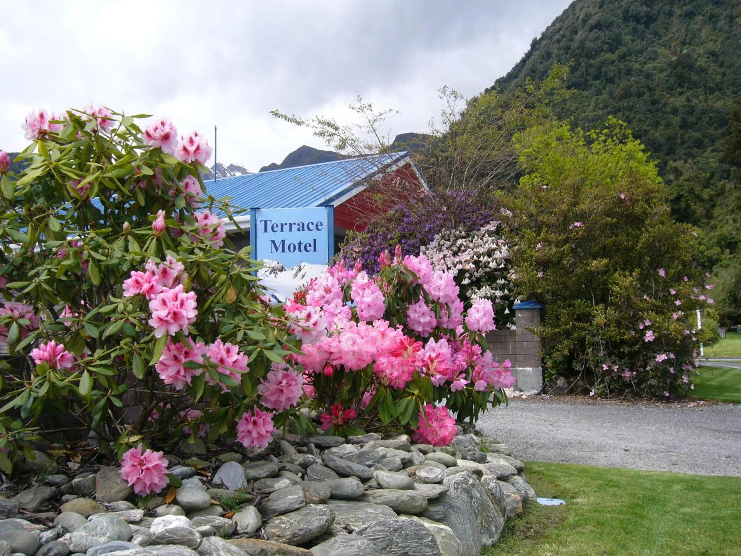 Garden view in The Terrace