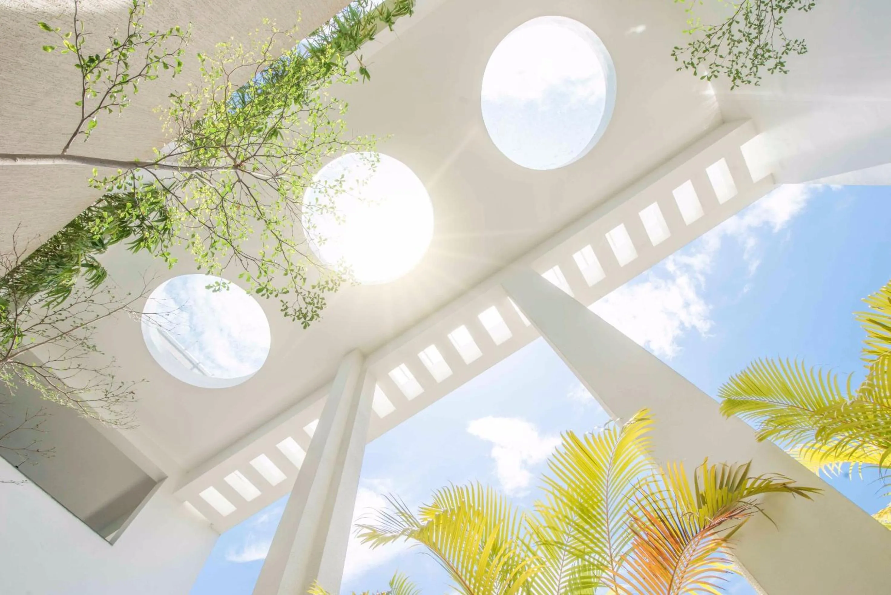 Garden in Sidra Pristine Hotel and Portico Halls