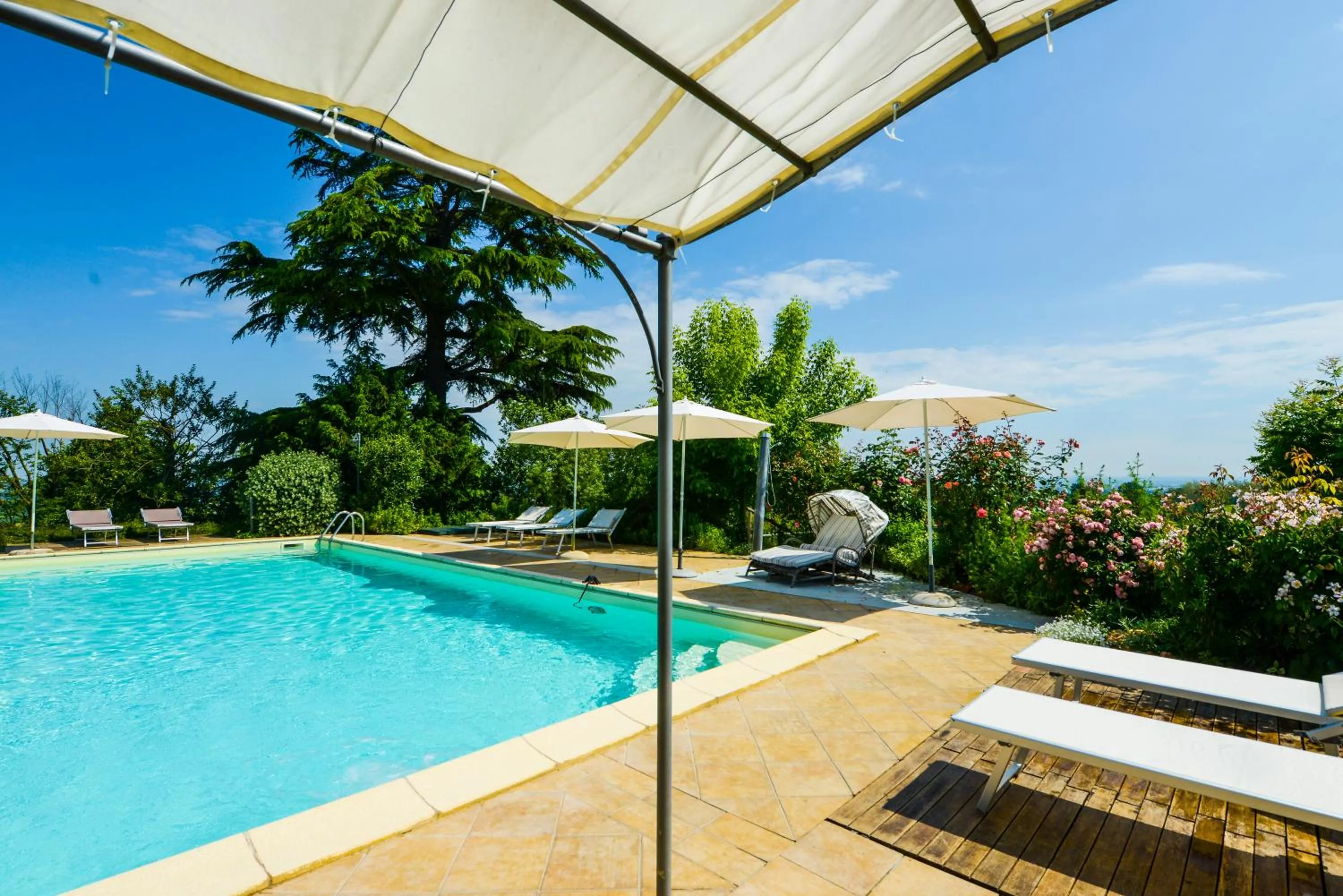 Swimming pool in B&B Tenuta Montegrande