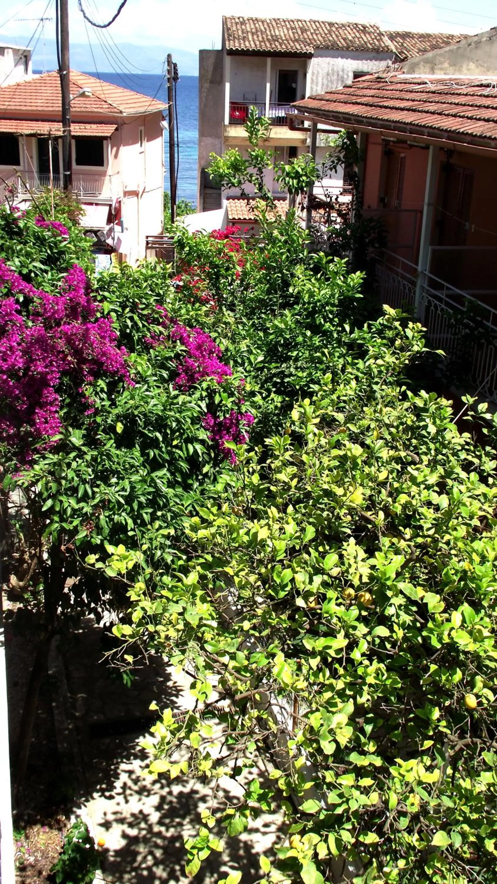 Facade/entrance in Avra Budget Beach Rooms