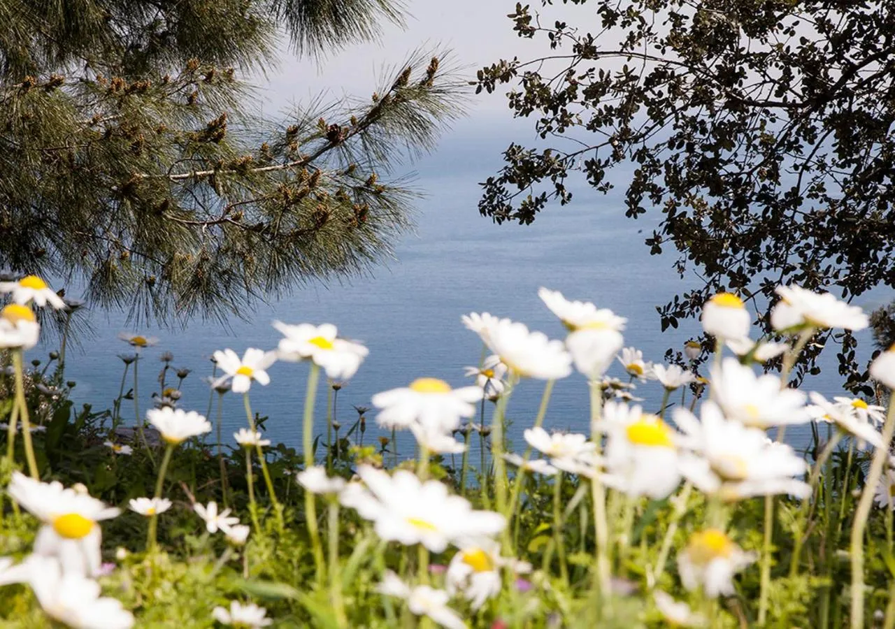 Natural landscape in Lavanta Butik Otel Turunc