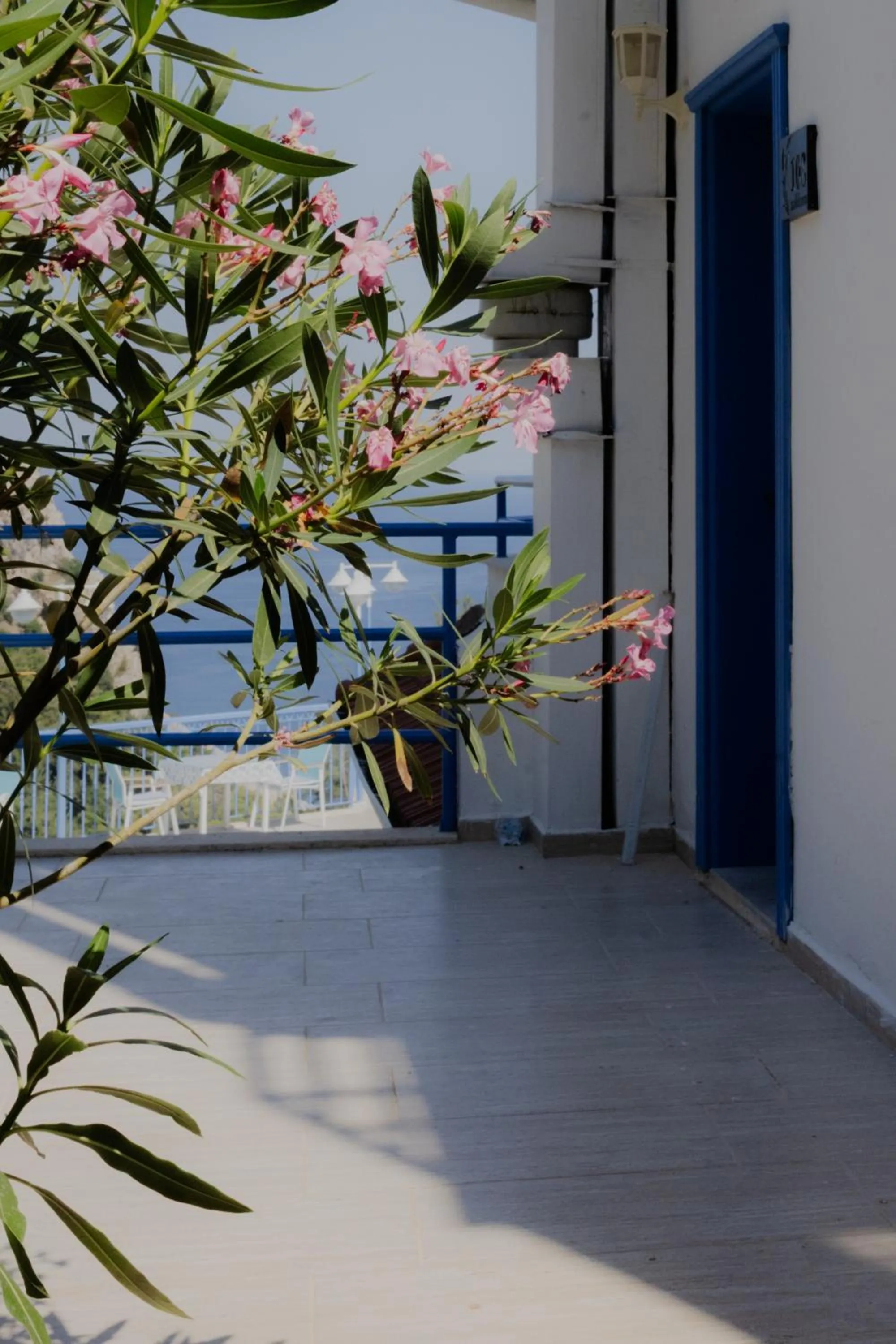 Lavanta Butik Otel Turunc