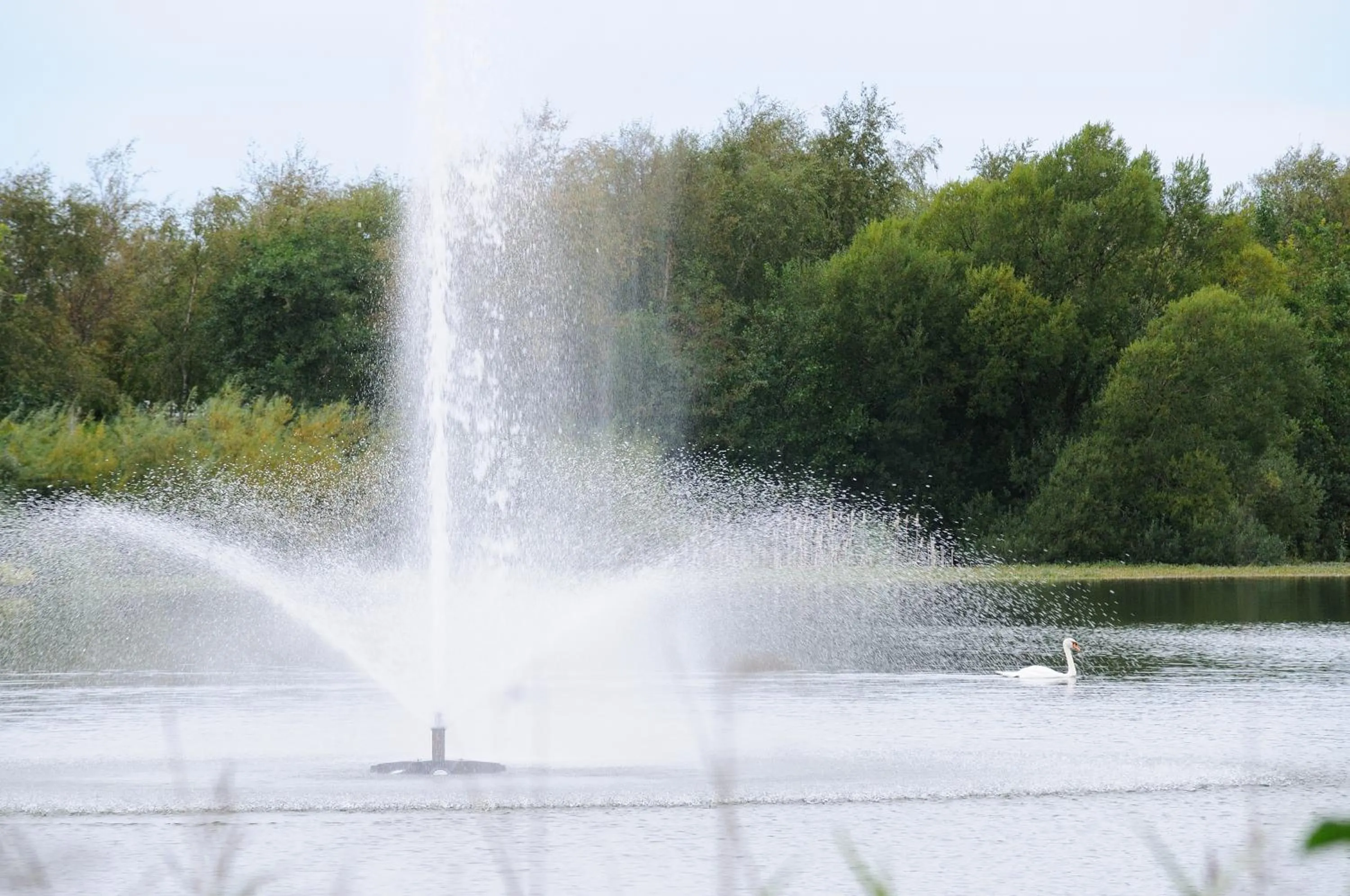 Decorative detail in Hotel Søparken