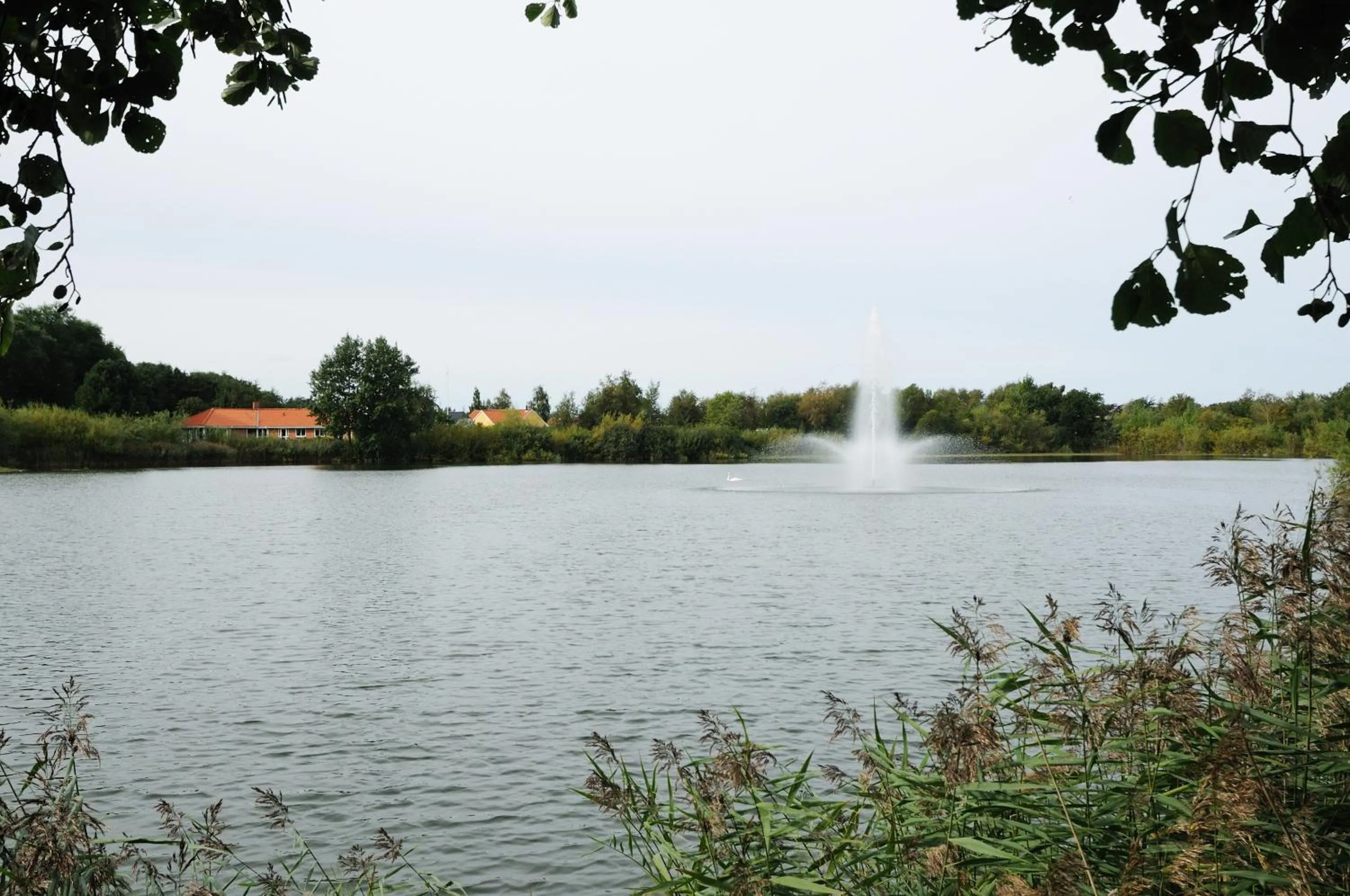 Area and facilities in Hotel Søparken