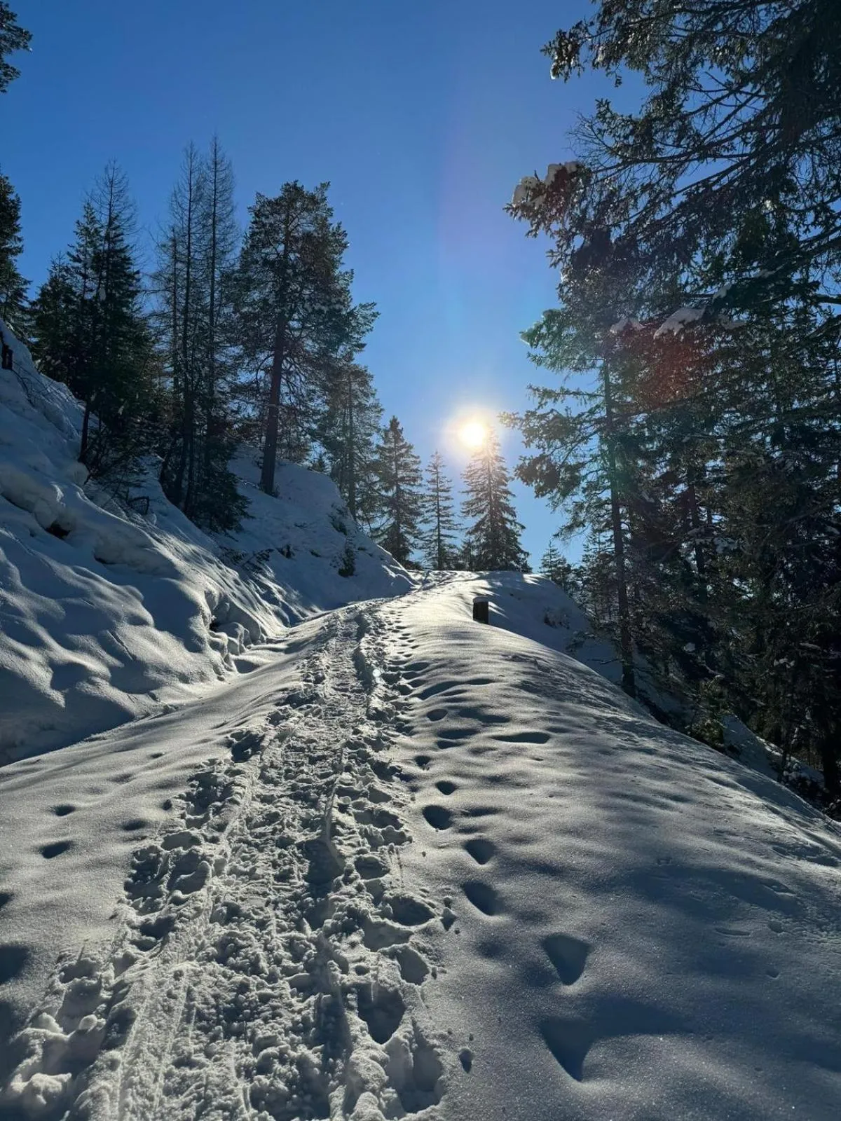 Alpenlandhaus Menardi