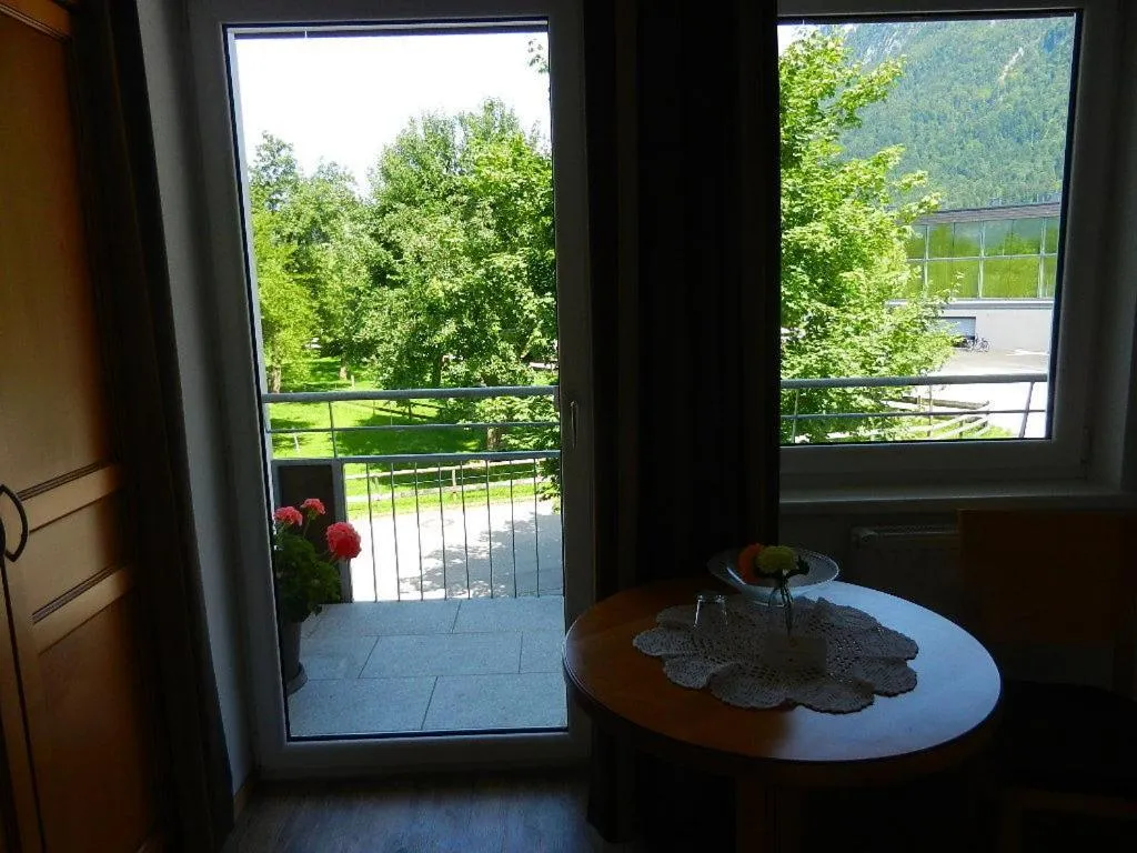 View (from property/room) in Pension Apartment Hödner