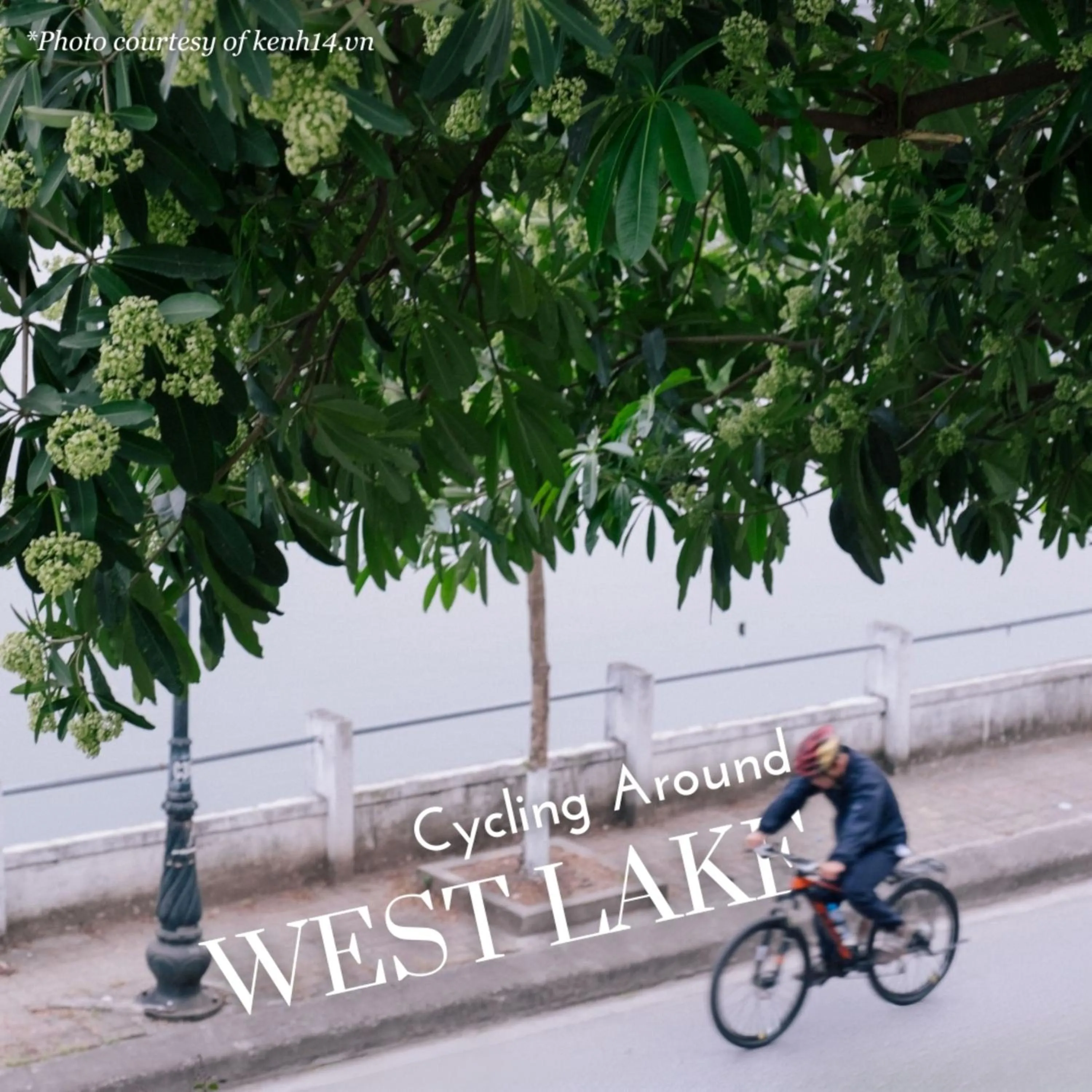 Activities in Somerset West Point Hanoi