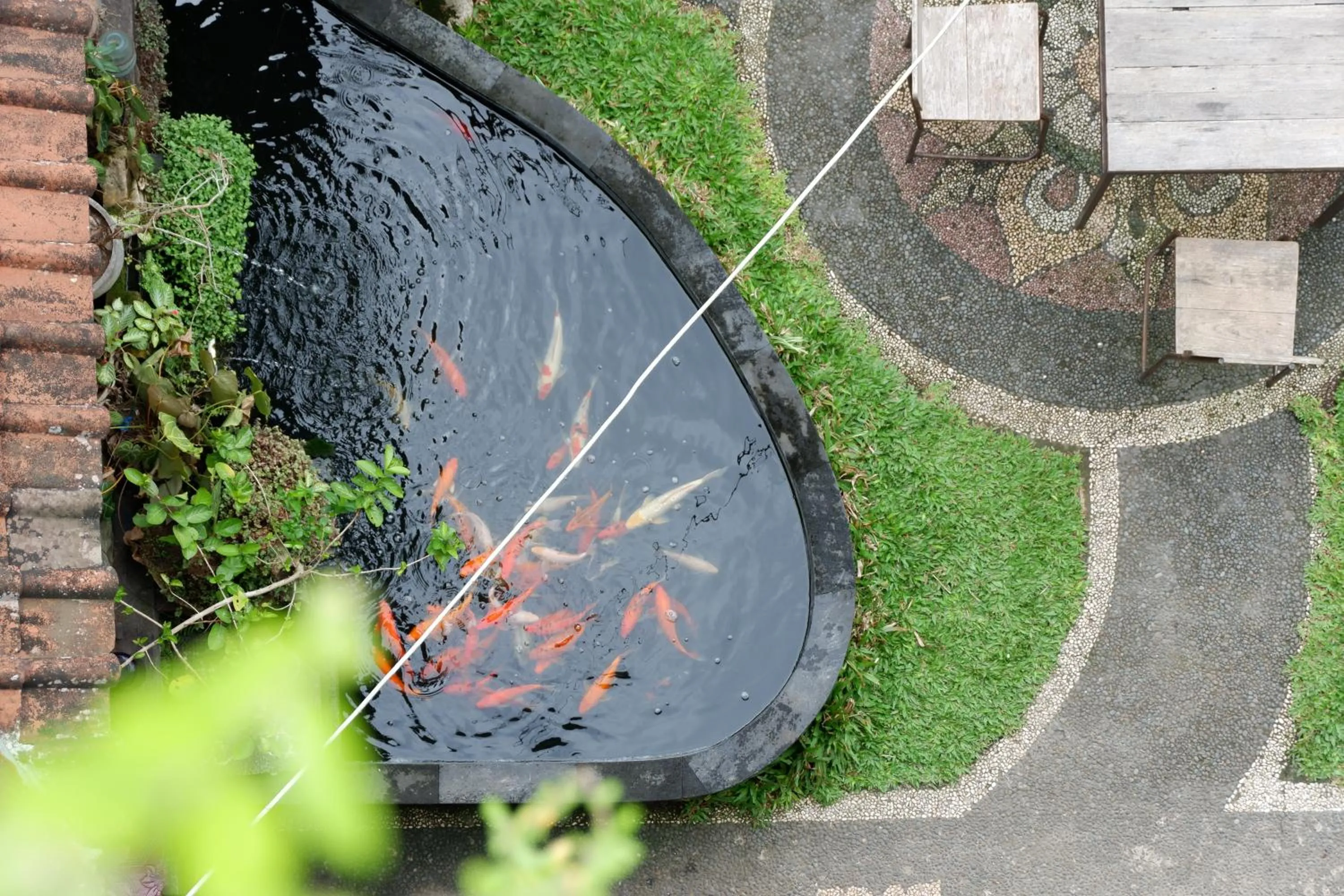 Day in Ramaya Ubud View