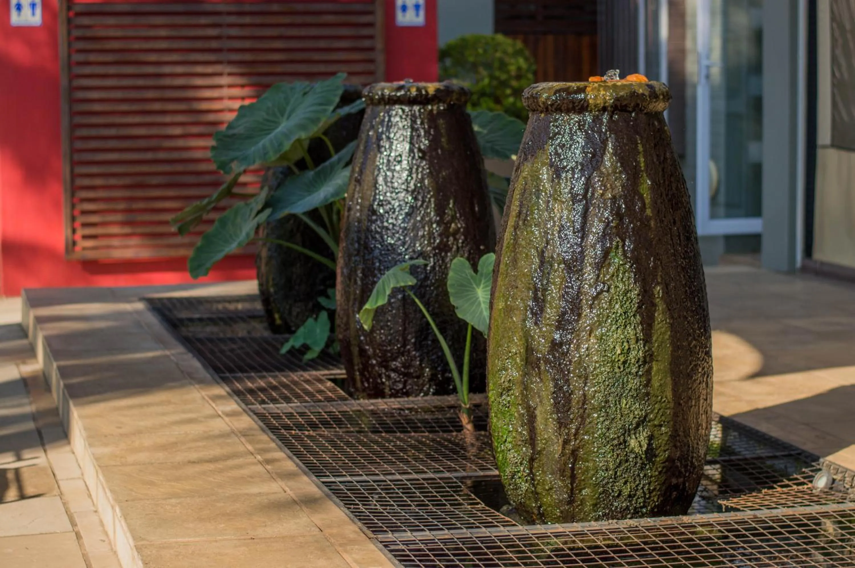 Garden in 314 on Clark Guest House