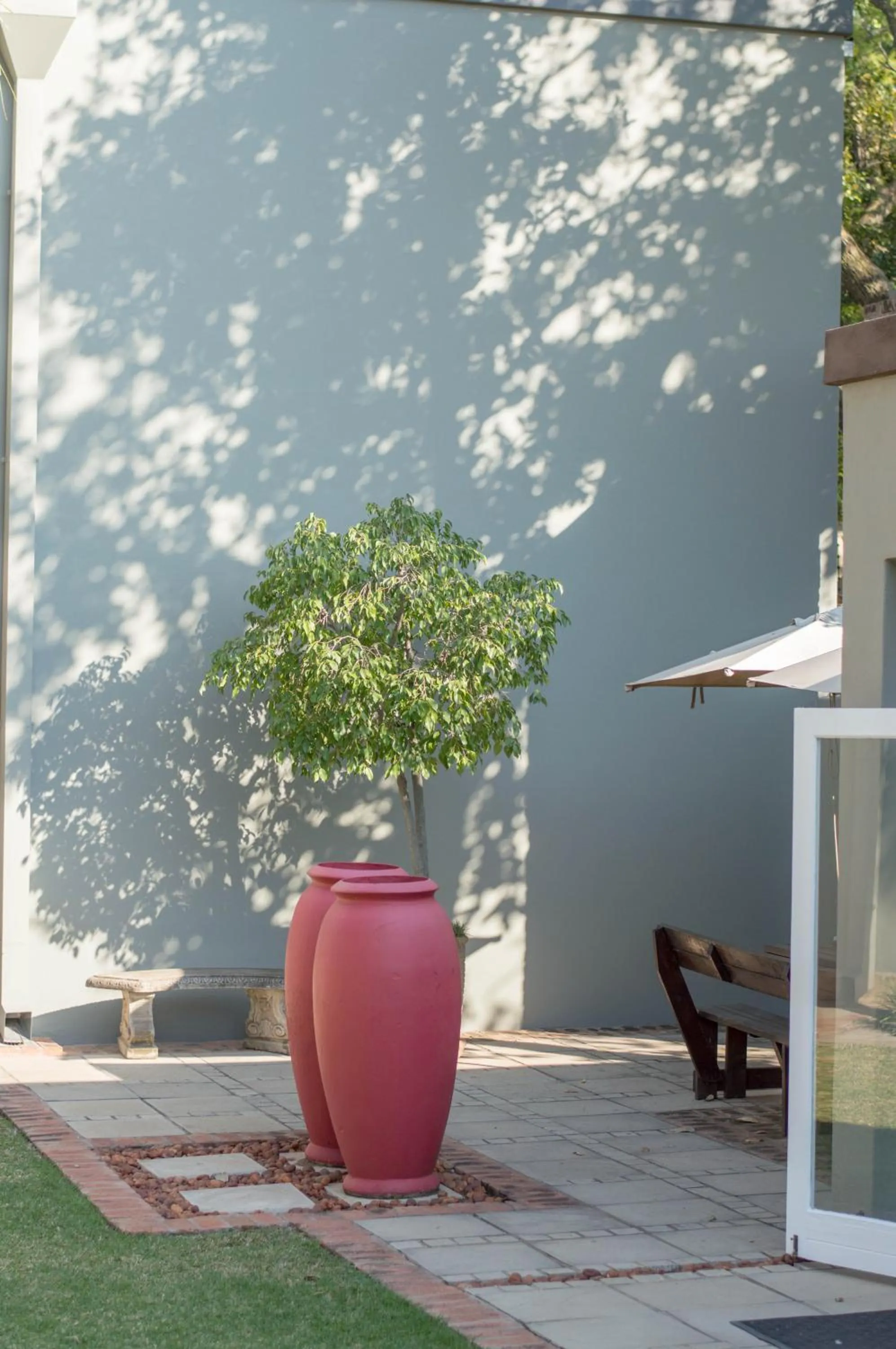 Garden in 314 on Clark Guest House