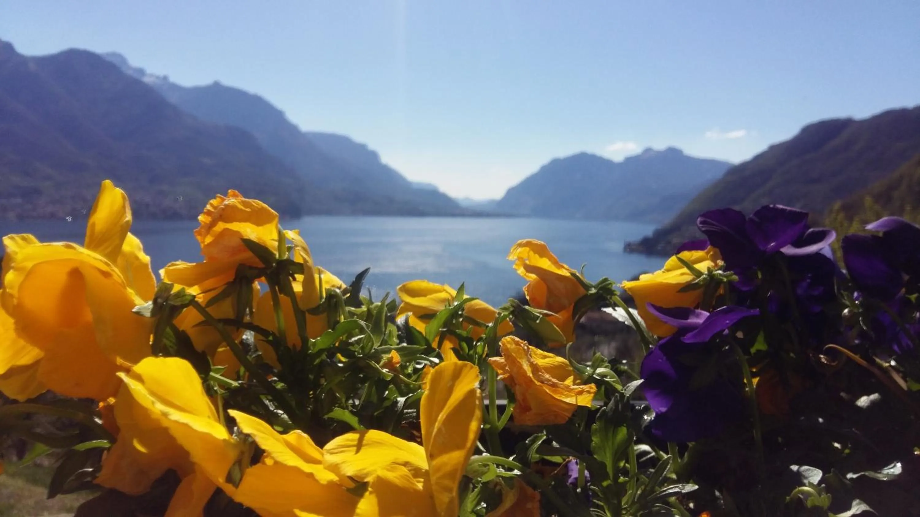 Neighbourhood in Antico Pozzo Apartment