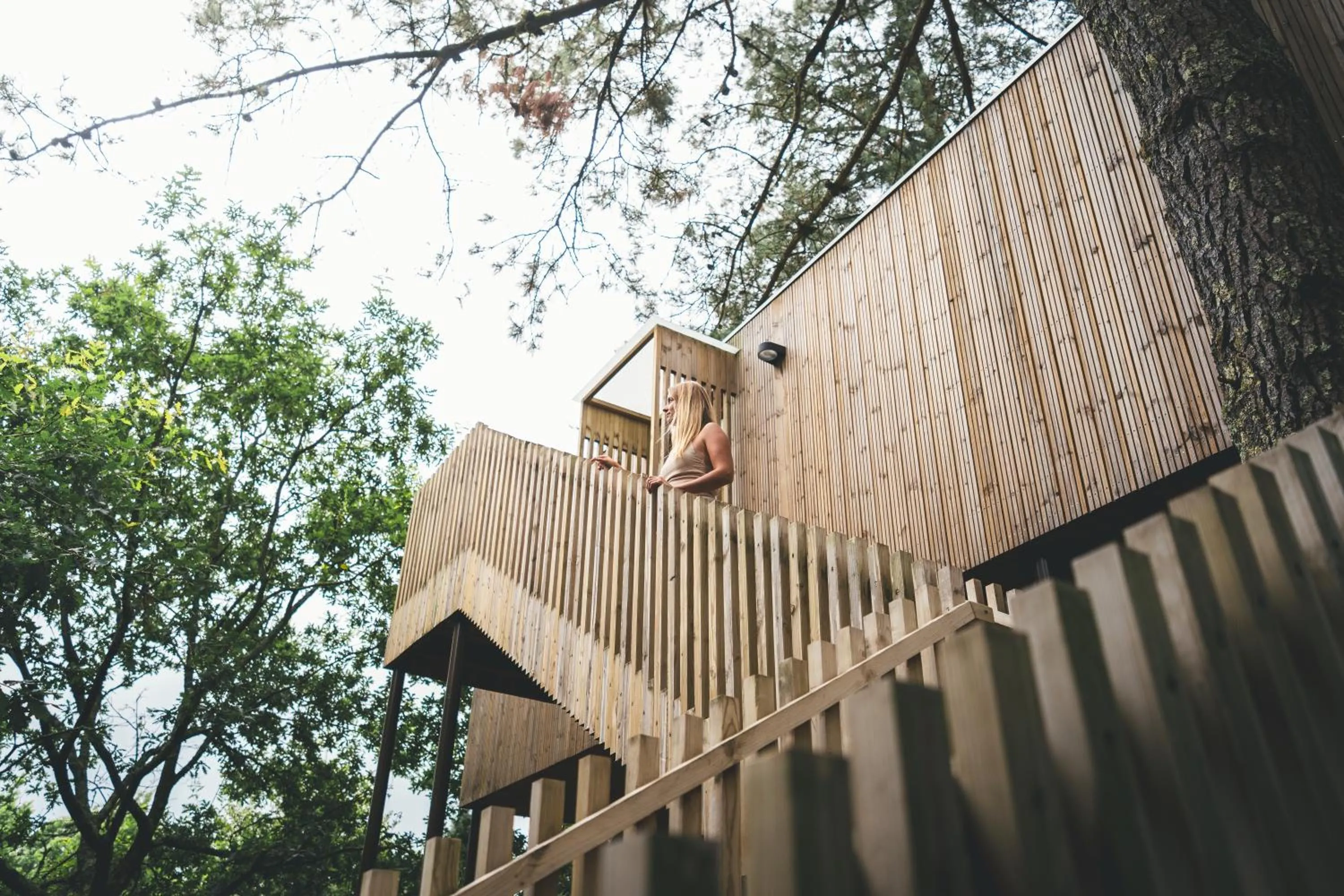 Property building in HolaCamp Camino