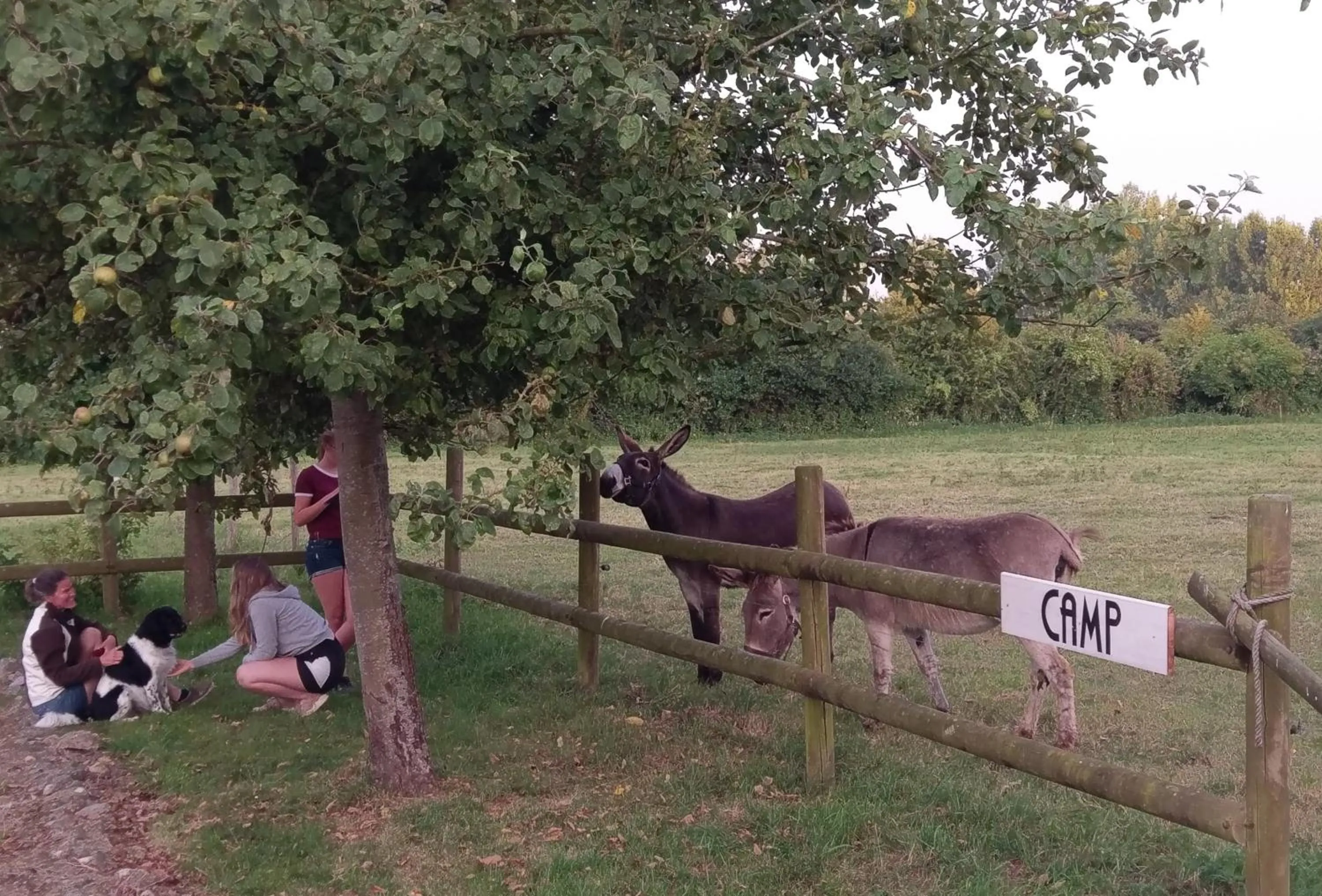 Summer in Domaine Airborne