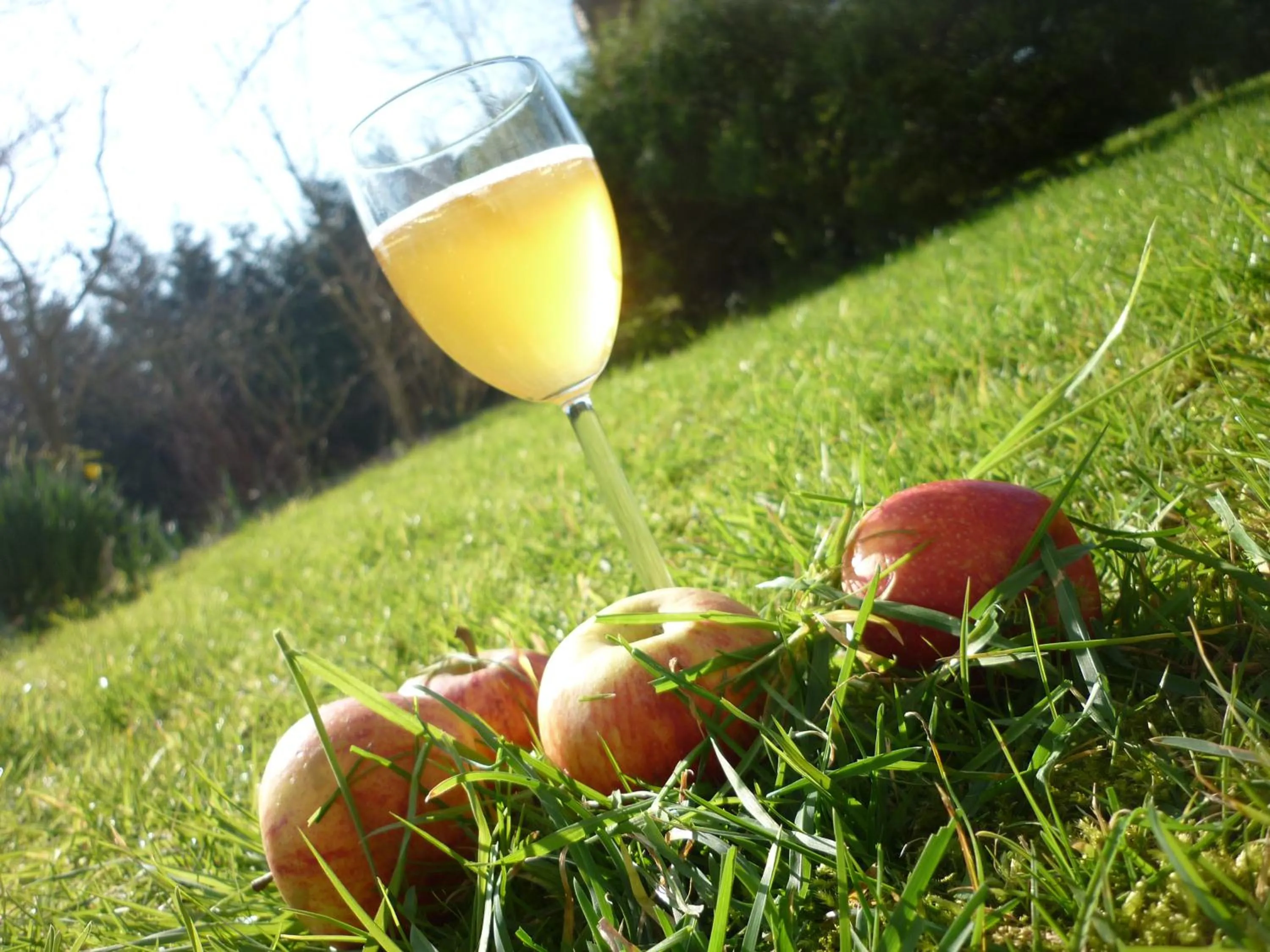 On site in Domaine Airborne