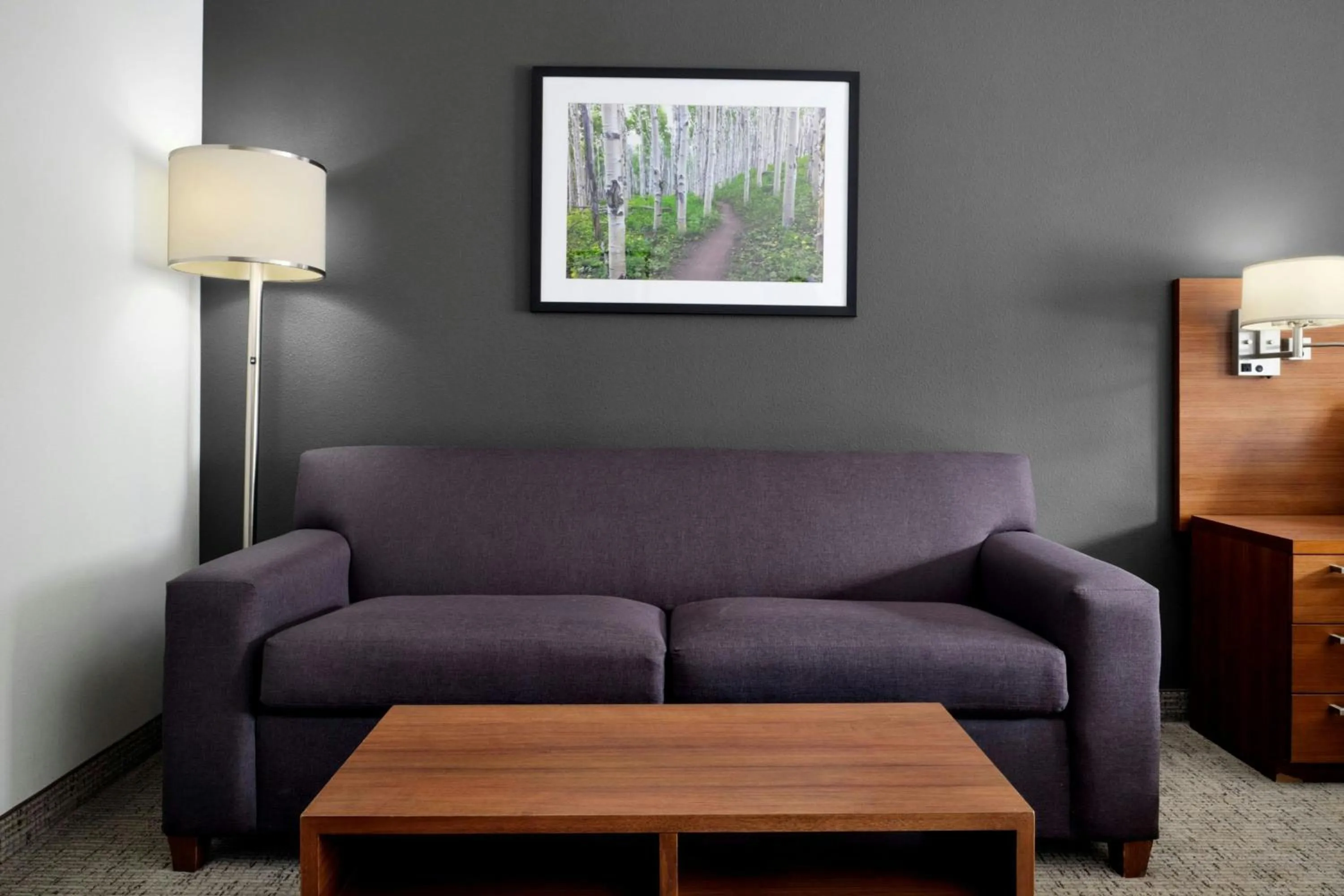 Photo of the whole room in Residence Inn by Marriott Breckenridge