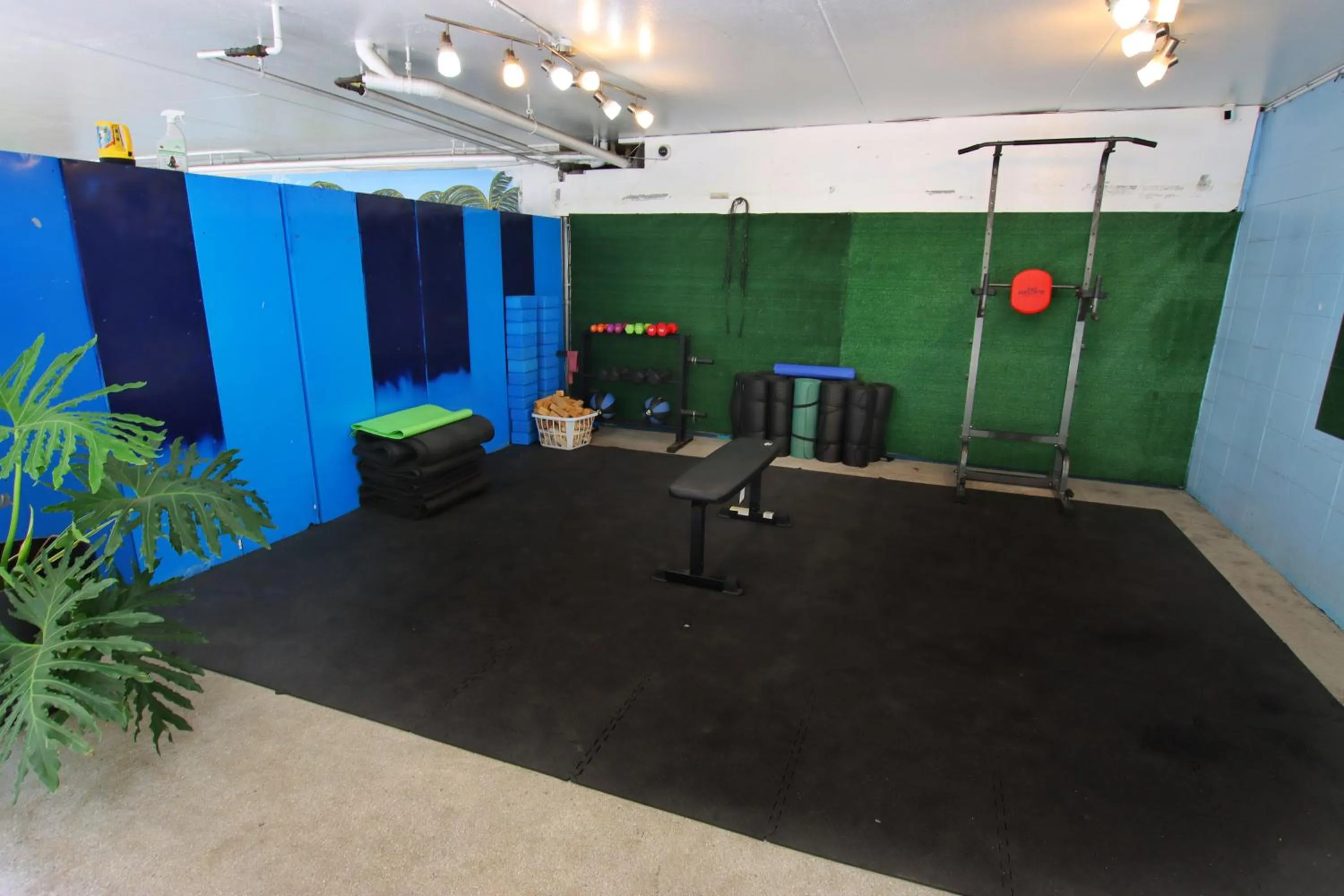 Activities in Waikiki Beachside Hostel