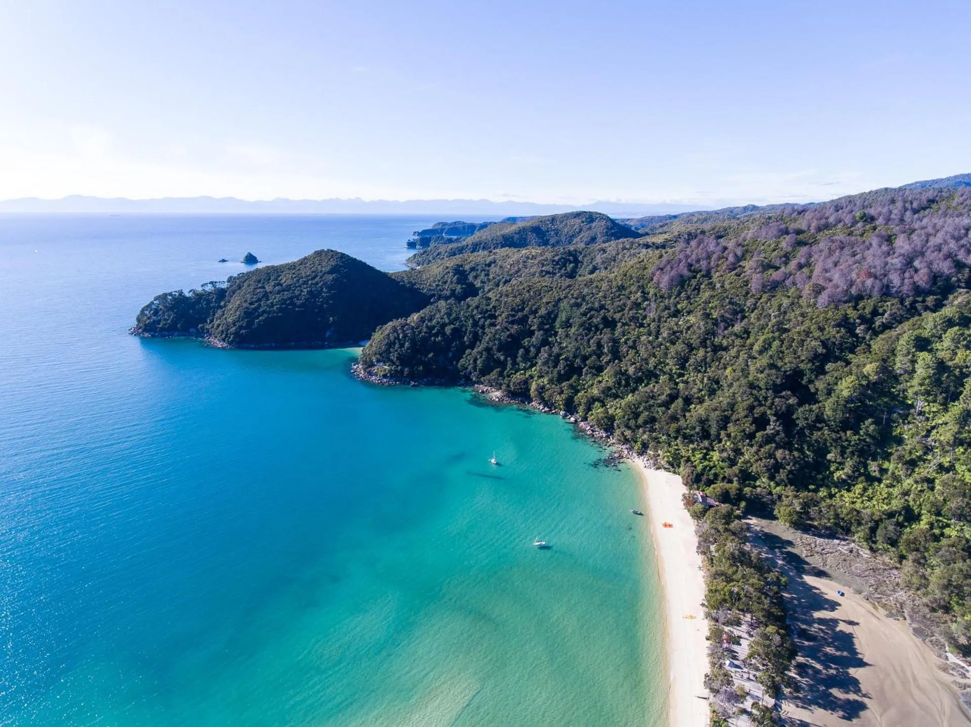 Natural landscape in Century Park