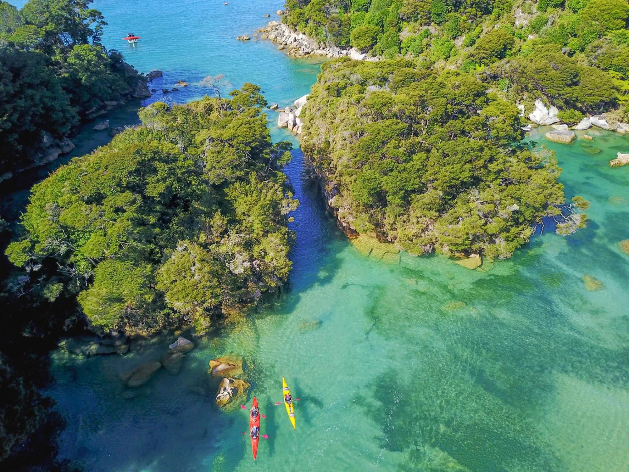 Nearby landmark in Century Park