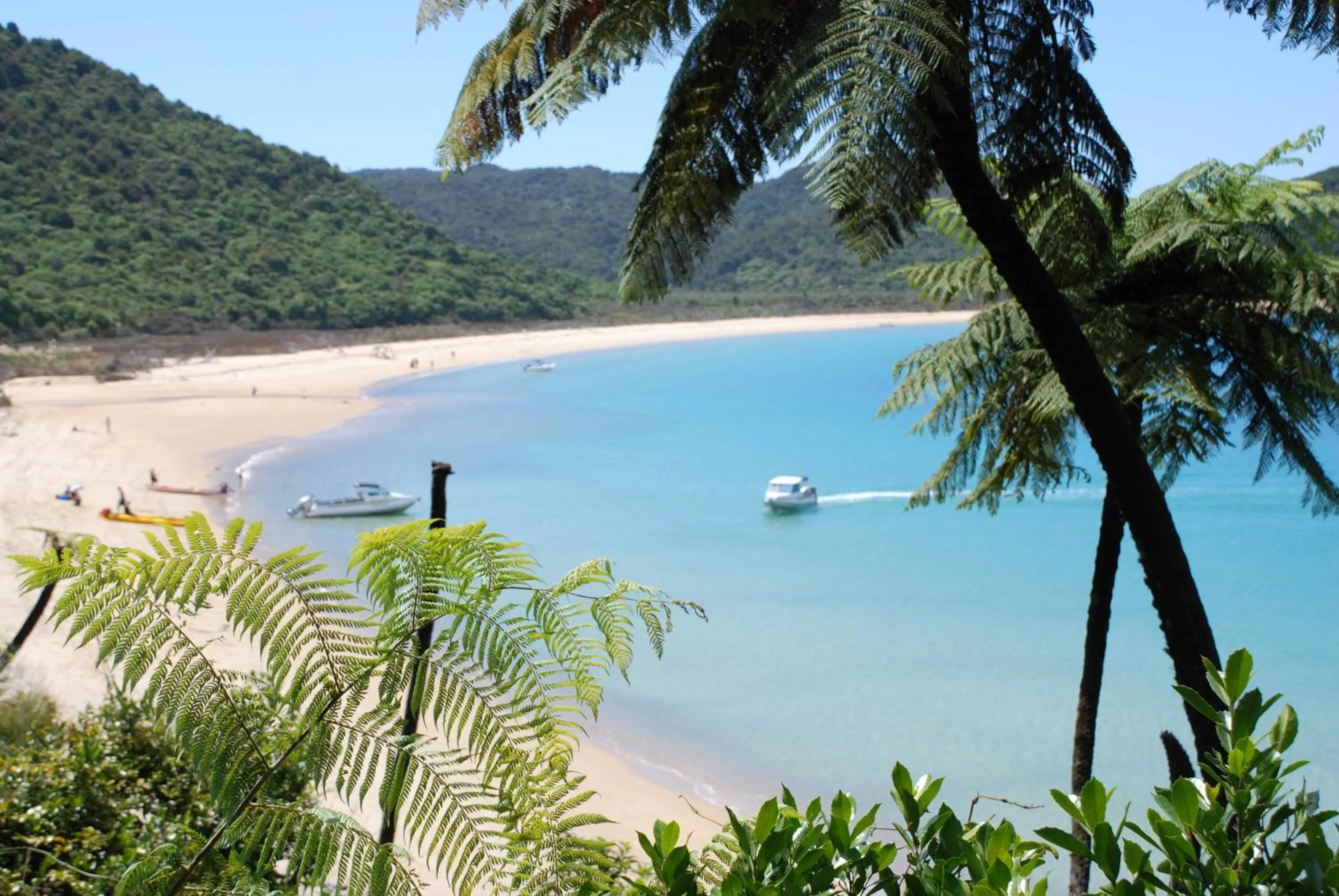 Nearby landmark in Century Park