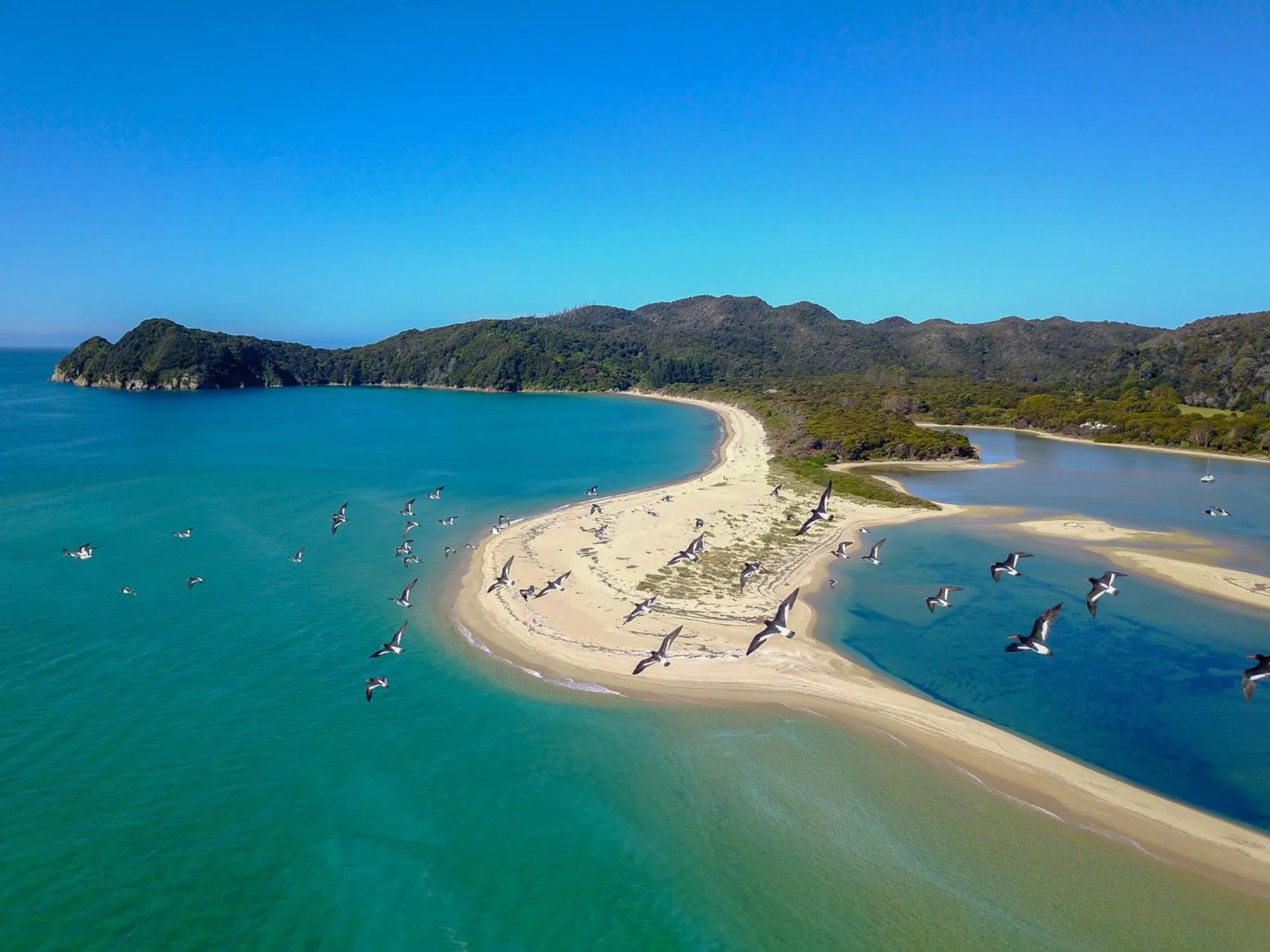 Natural landscape in Century Park