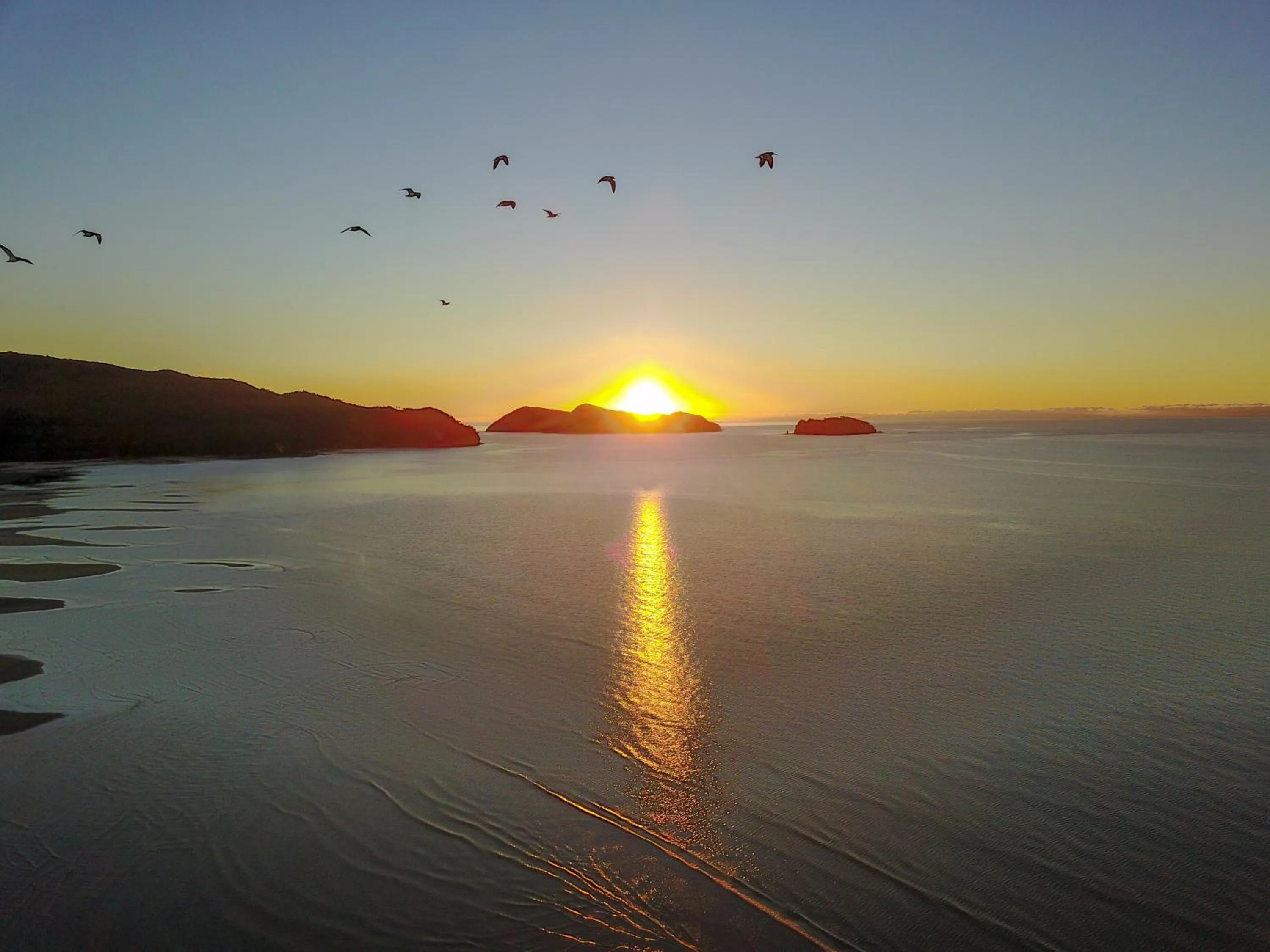 Natural landscape in Century Park