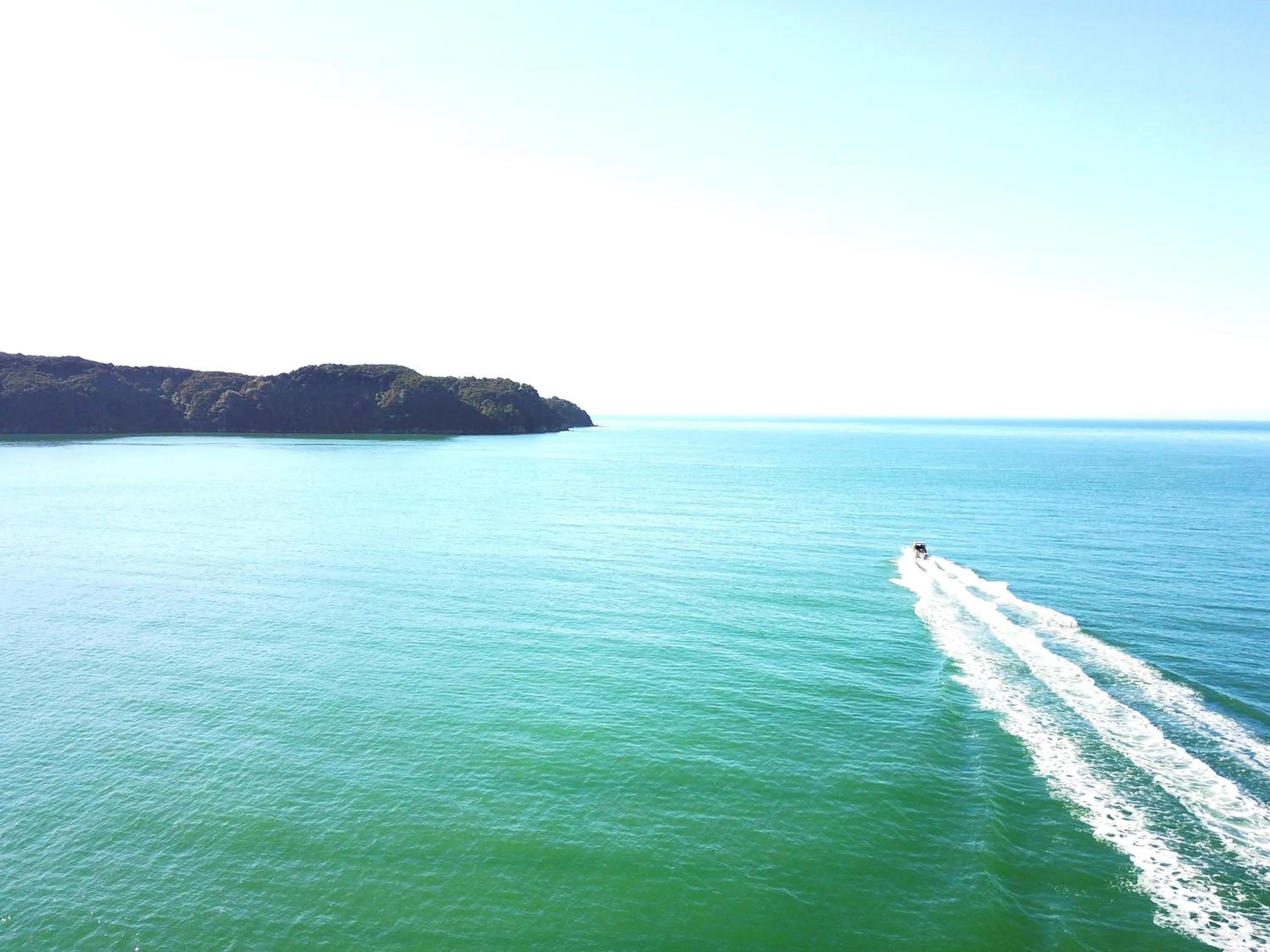 Natural landscape in Century Park