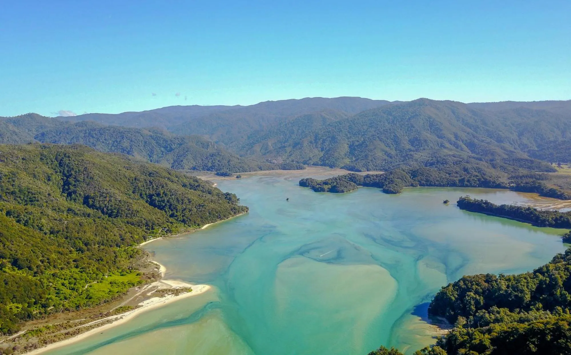 Natural landscape in Century Park