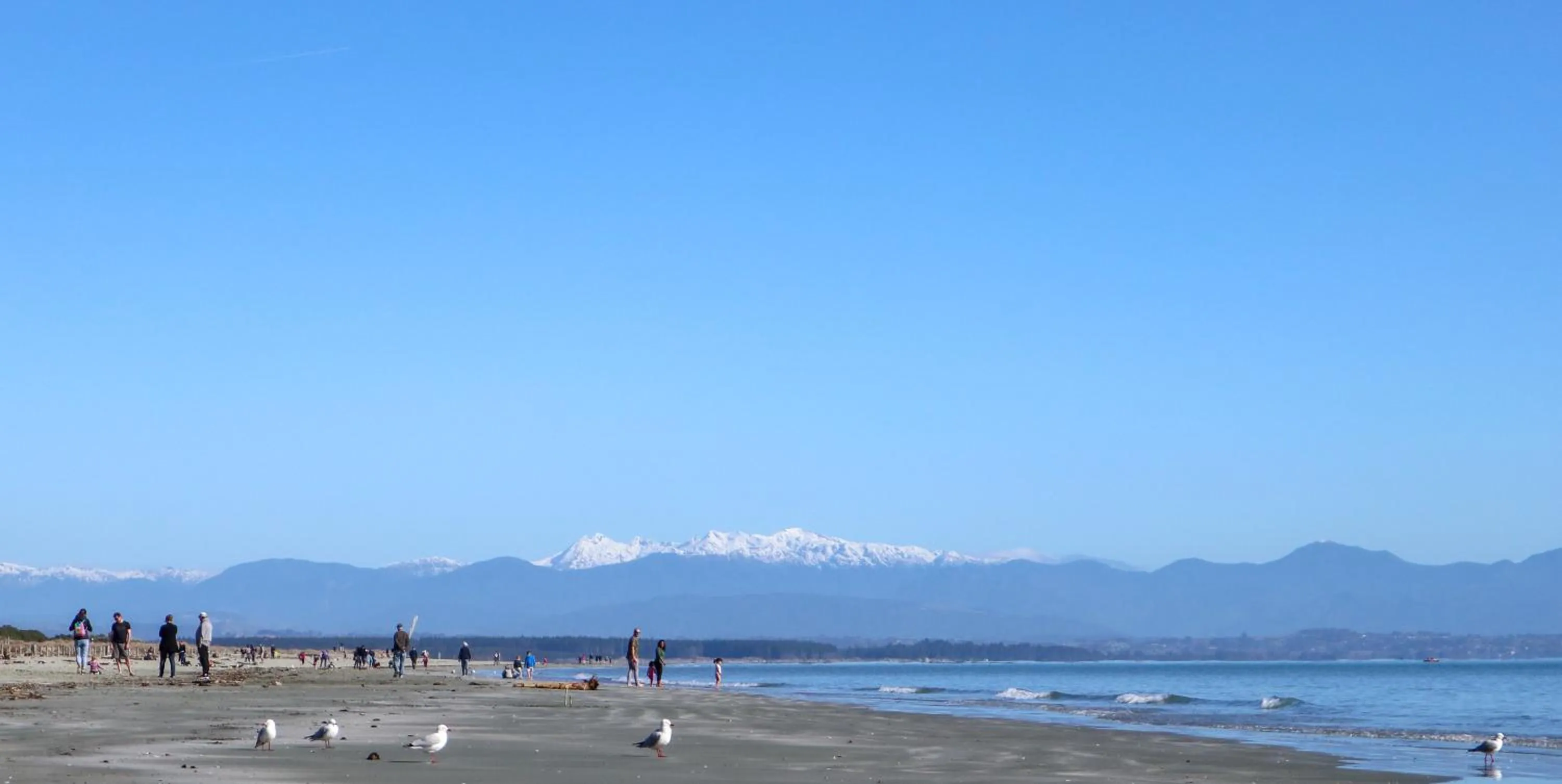 Mountain view in Century Park