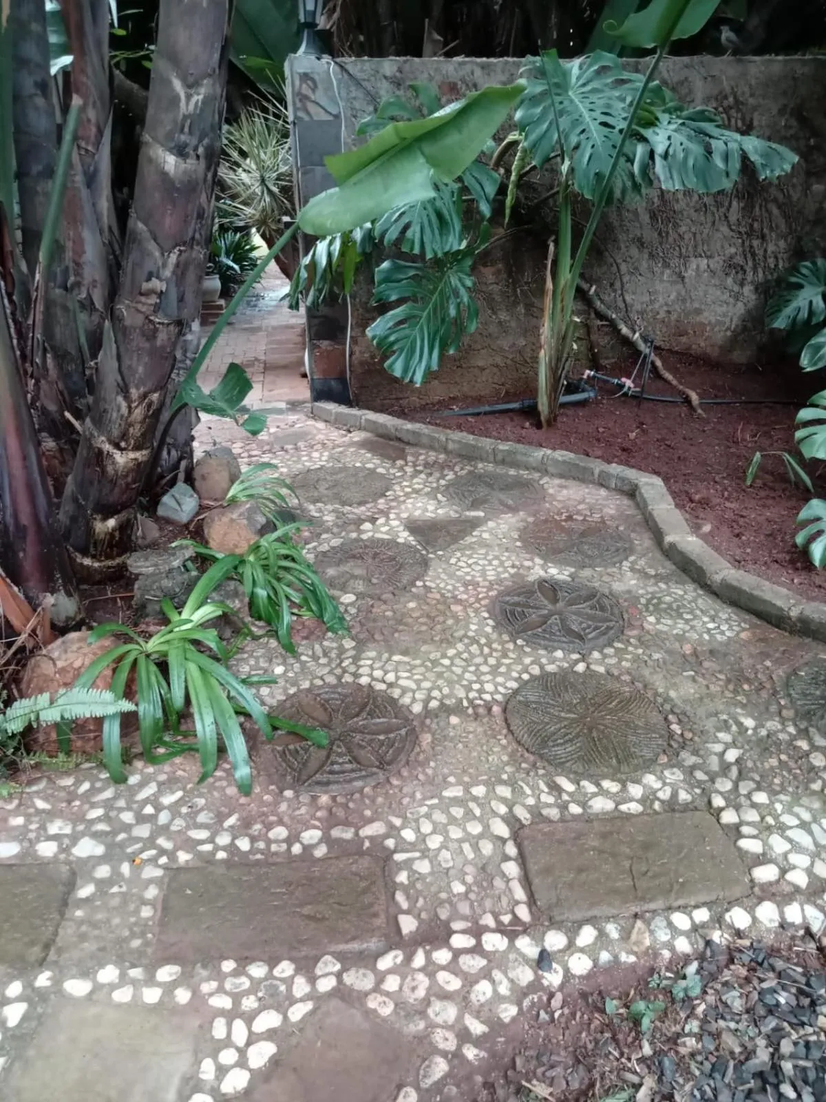 Brooklyn Guesthouses