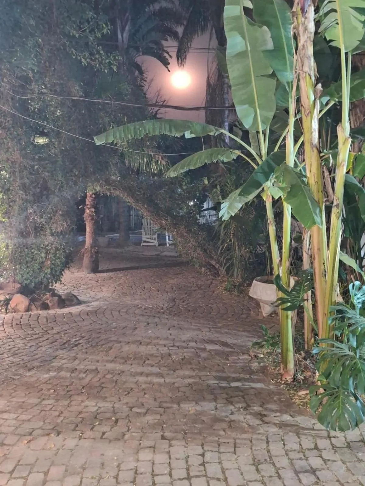 Brooklyn Guesthouses