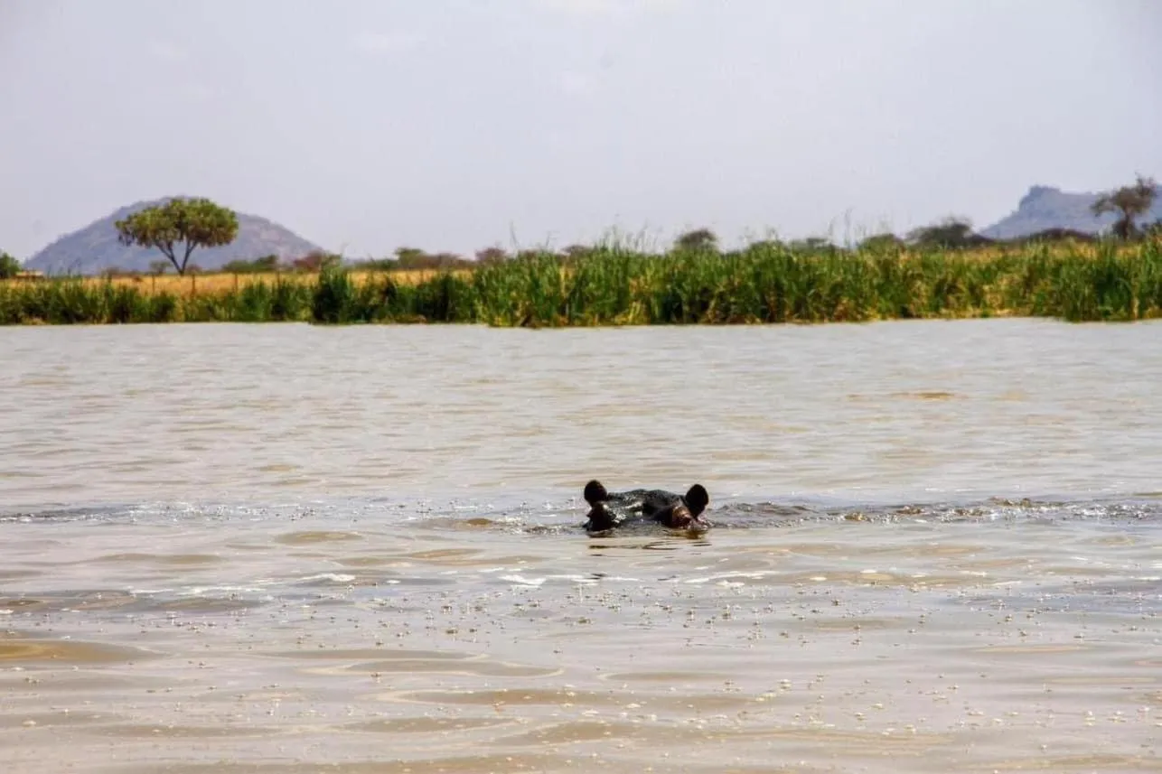 Natural landscape in Lake Jipe Eco Lodge