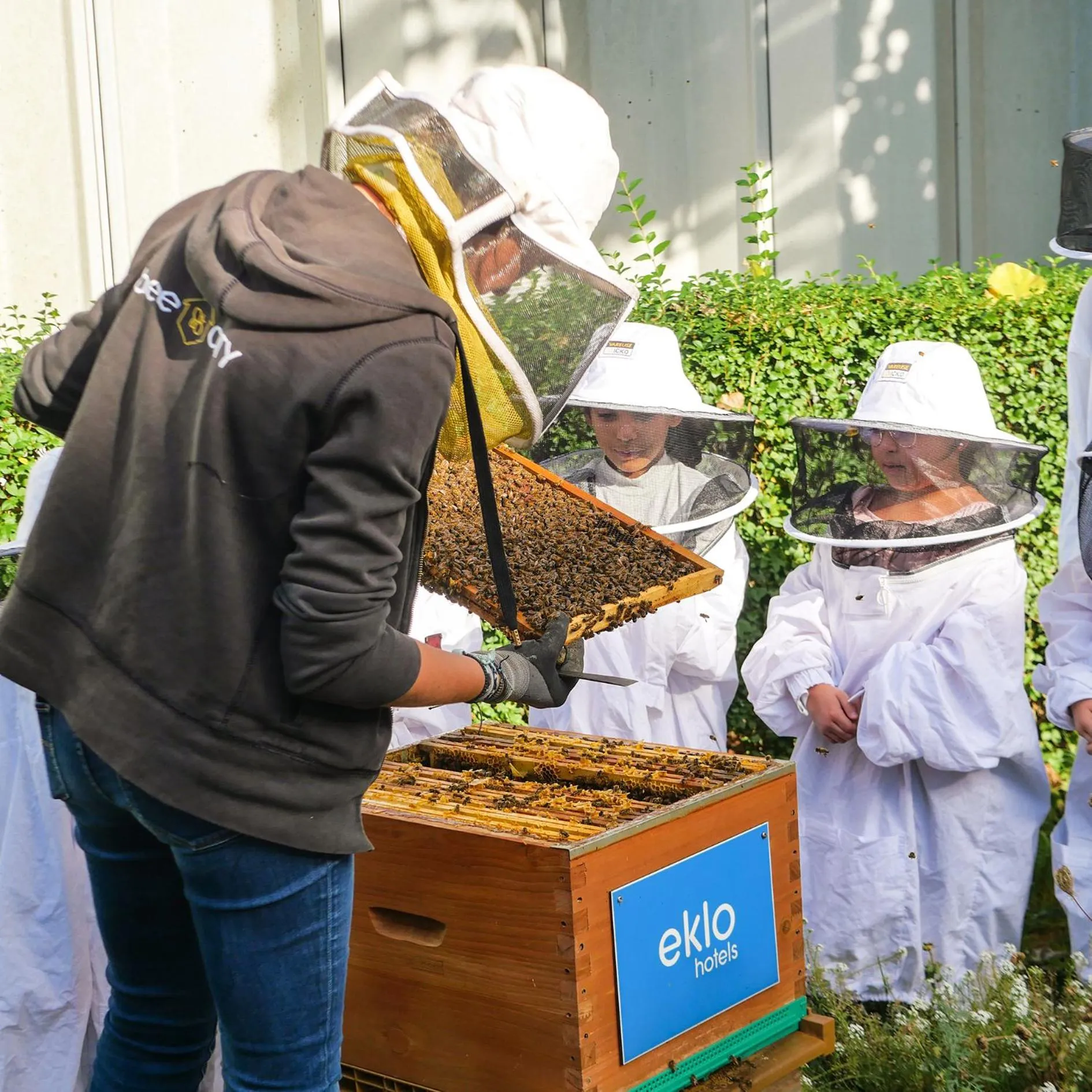 Natural landscape in Eklo Hotels Lille