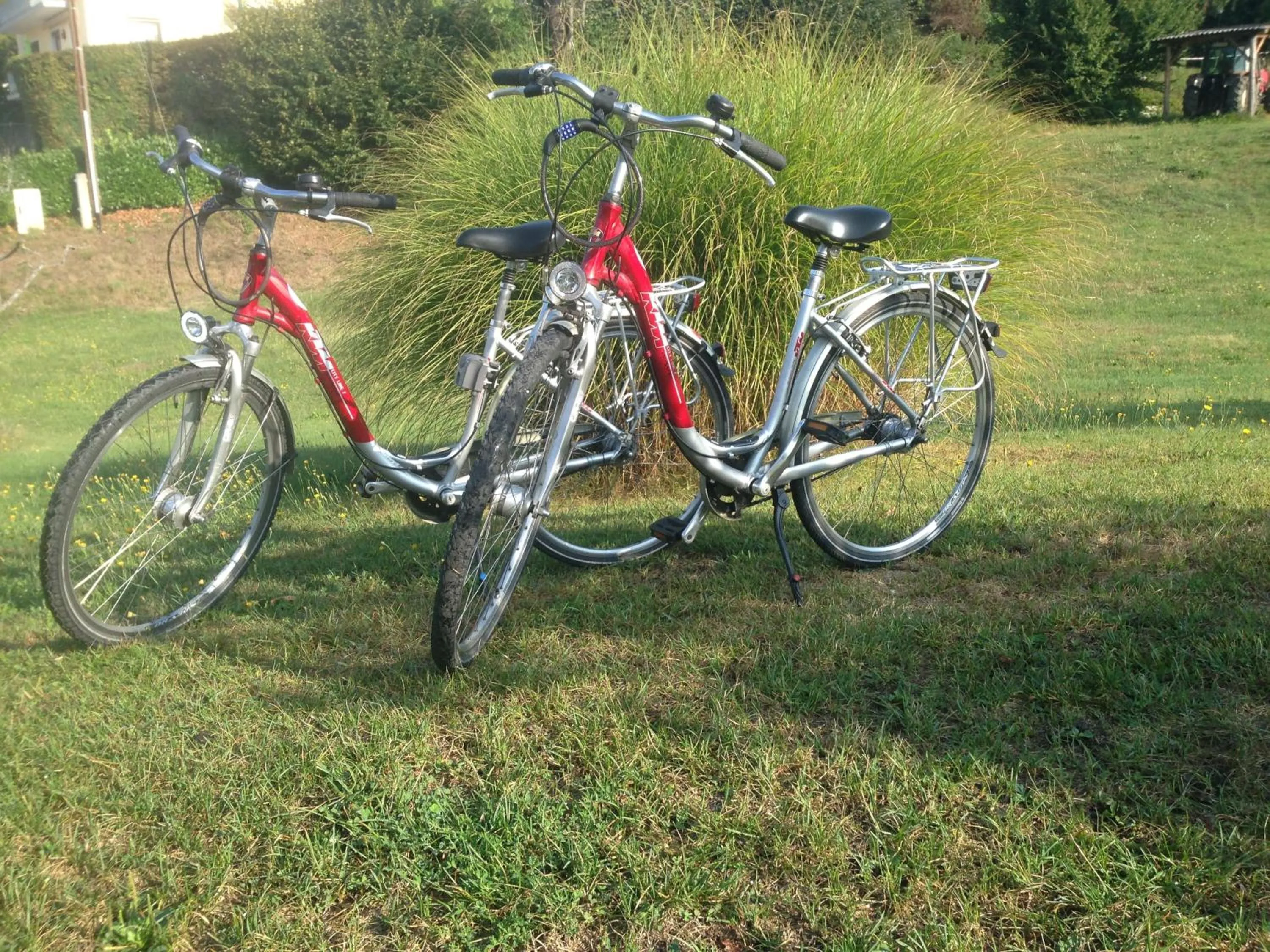 Cycling in Die WUNDER s Ferienpension