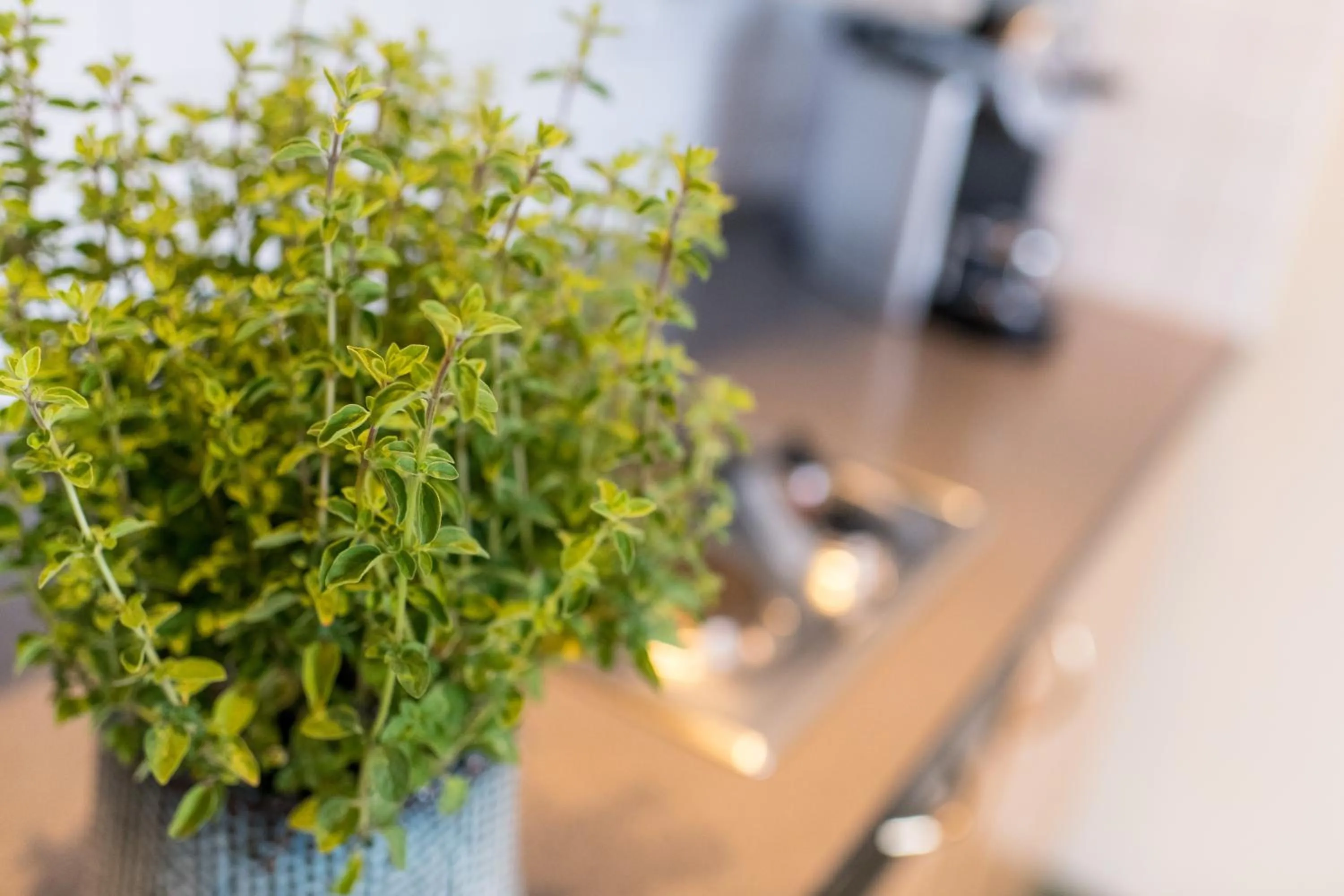 Kitchen or kitchenette in Die WUNDER s Ferienpension