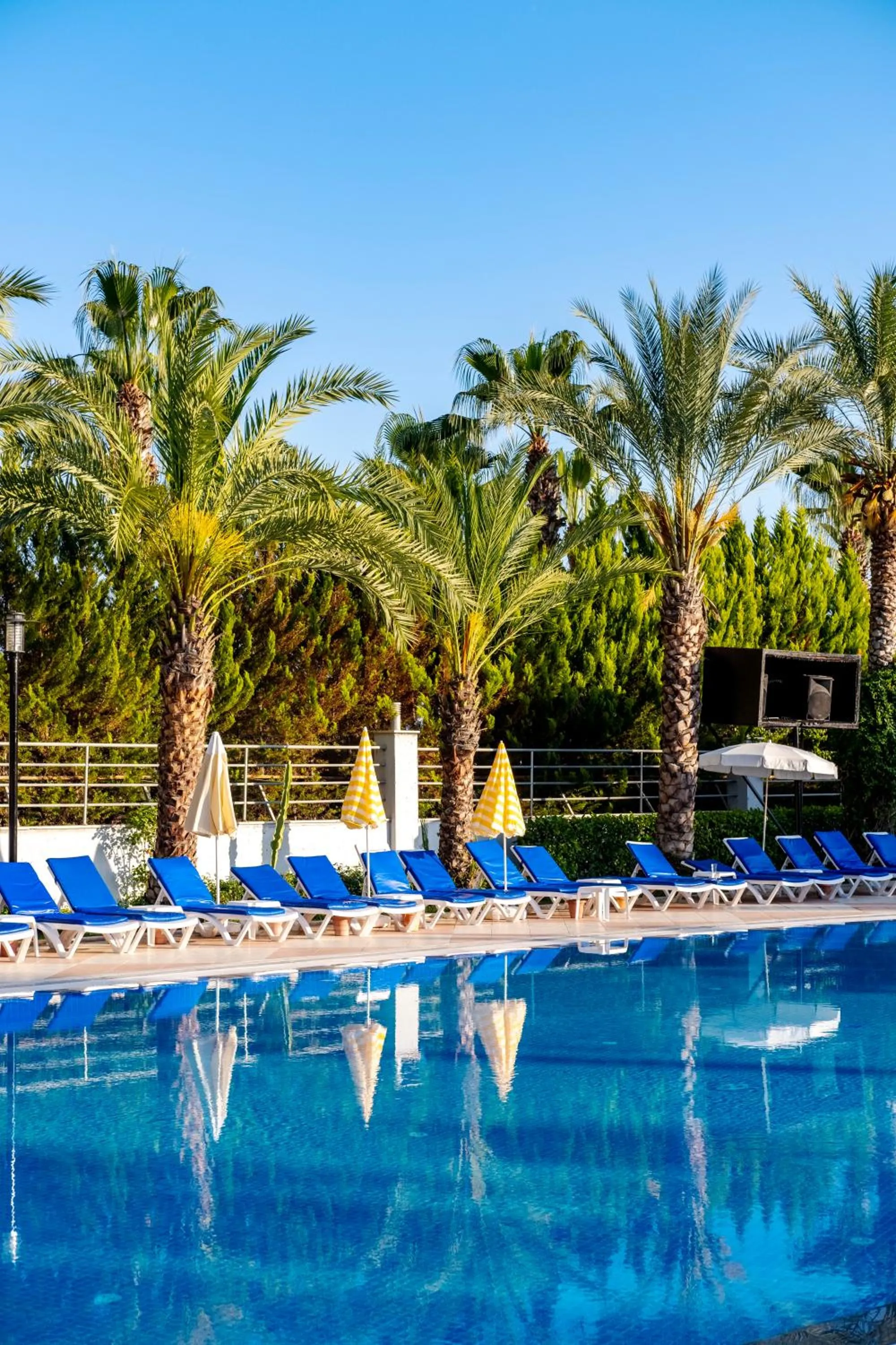 Day in Stella Beach Hotel Ultra All Inclusive