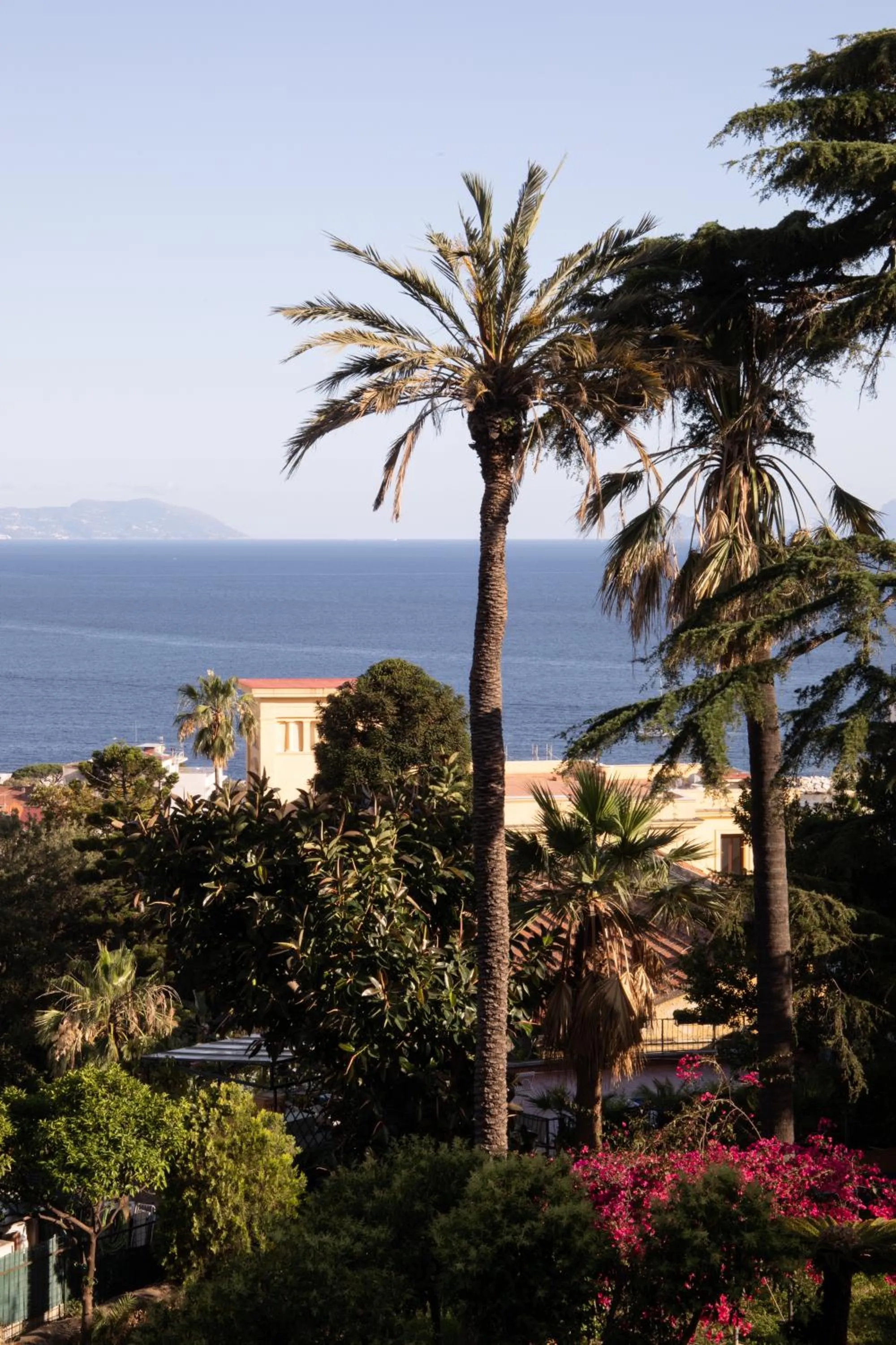 Bird's eye view in De Bonart Naples, Curio Collection By Hilton